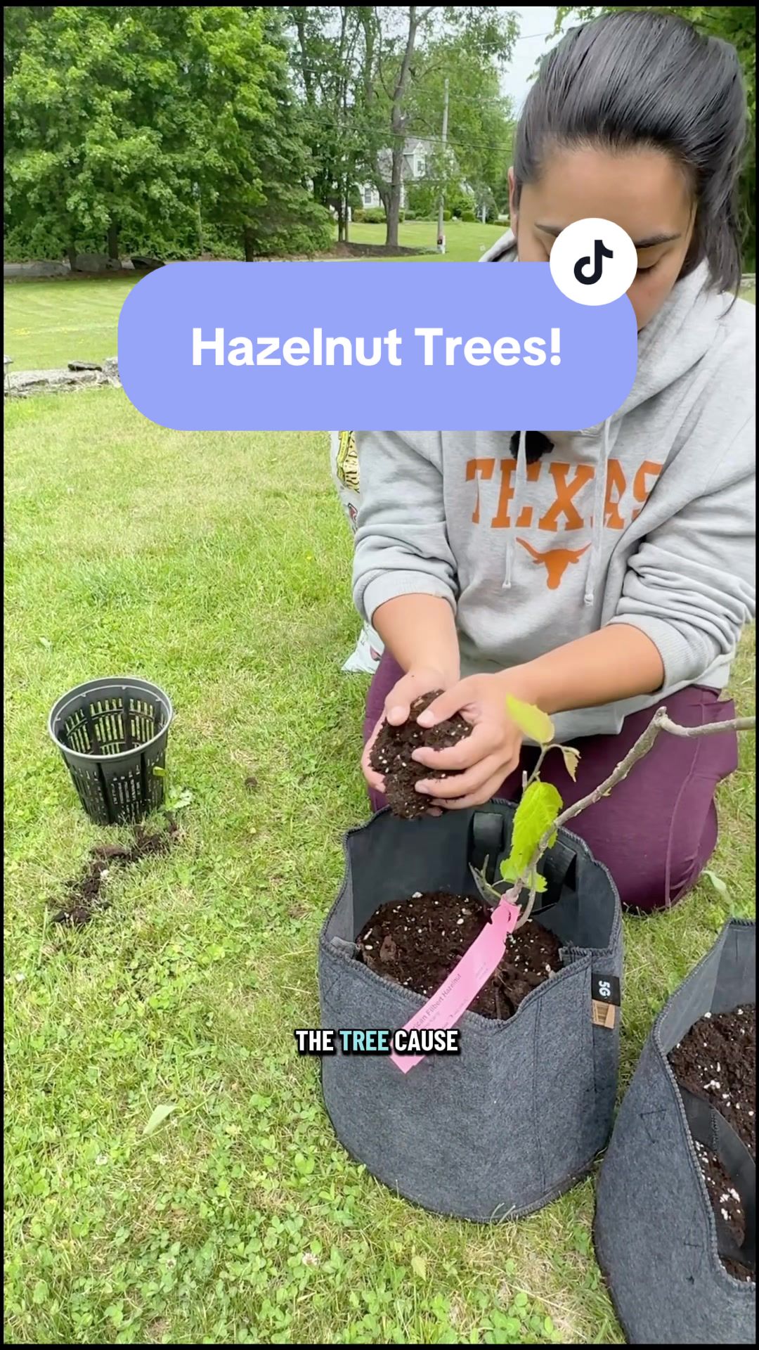 @Manica | zone 6a gardener