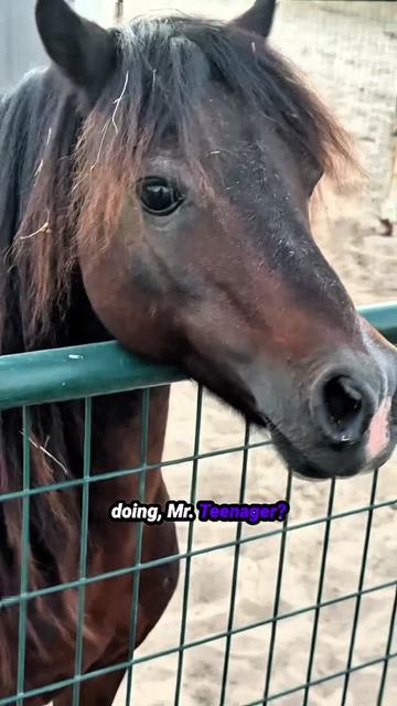 @Dr.Nicole-VetMed