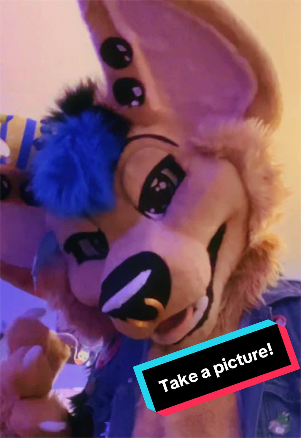 @🏳️⚧️ Chibi Floof 🏳️⚧️