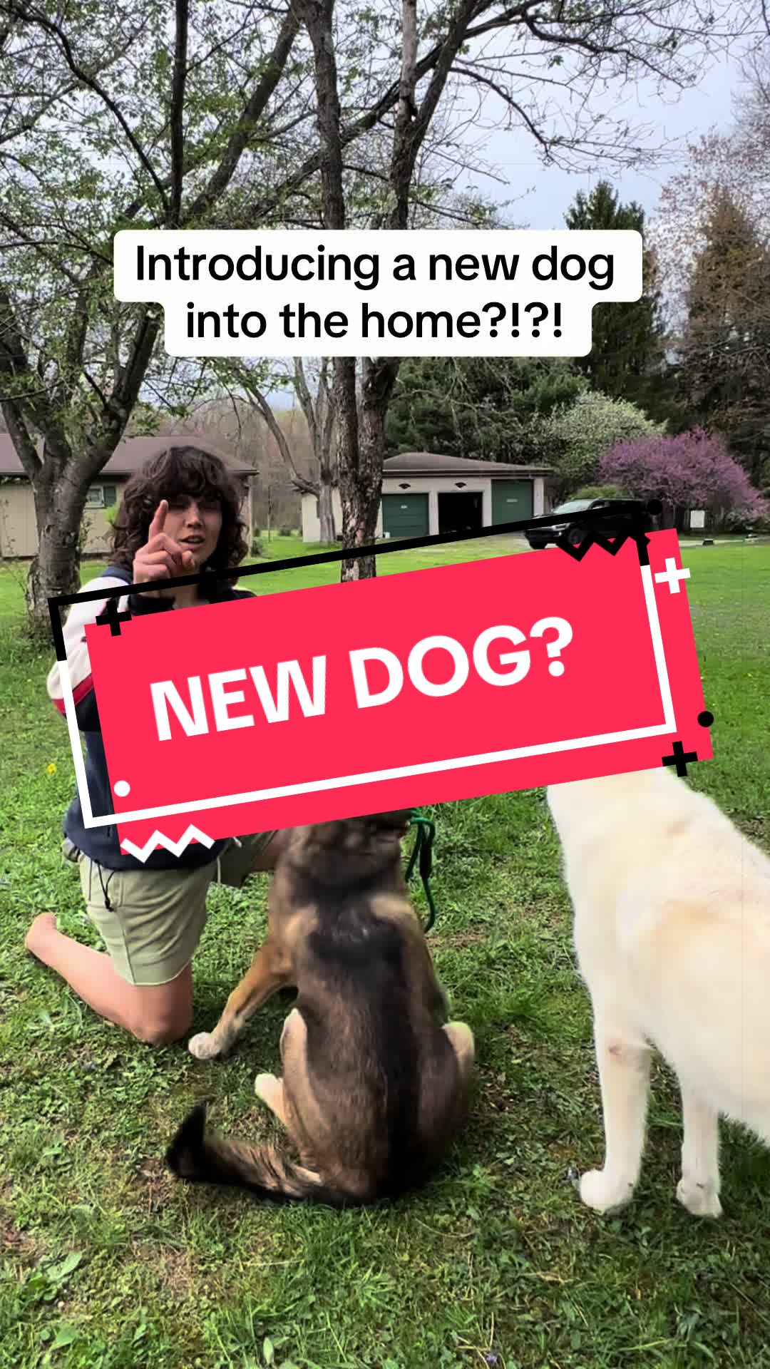 @OUTBOUNDDOGS