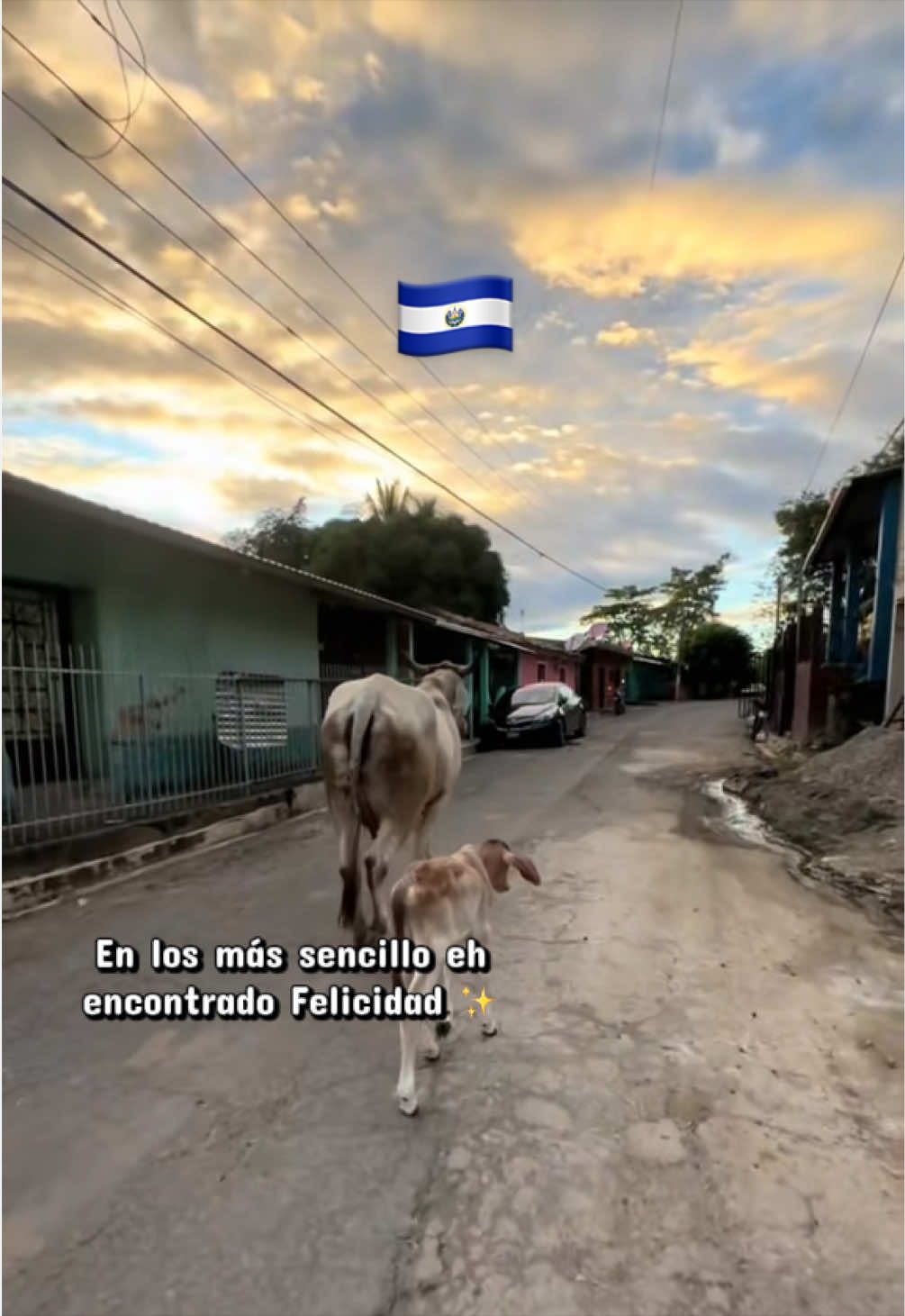 @𝑳𝒂𝑺𝒂𝒍𝒗𝒊𝒎𝒂𝒎𝒊𝒊777🩷