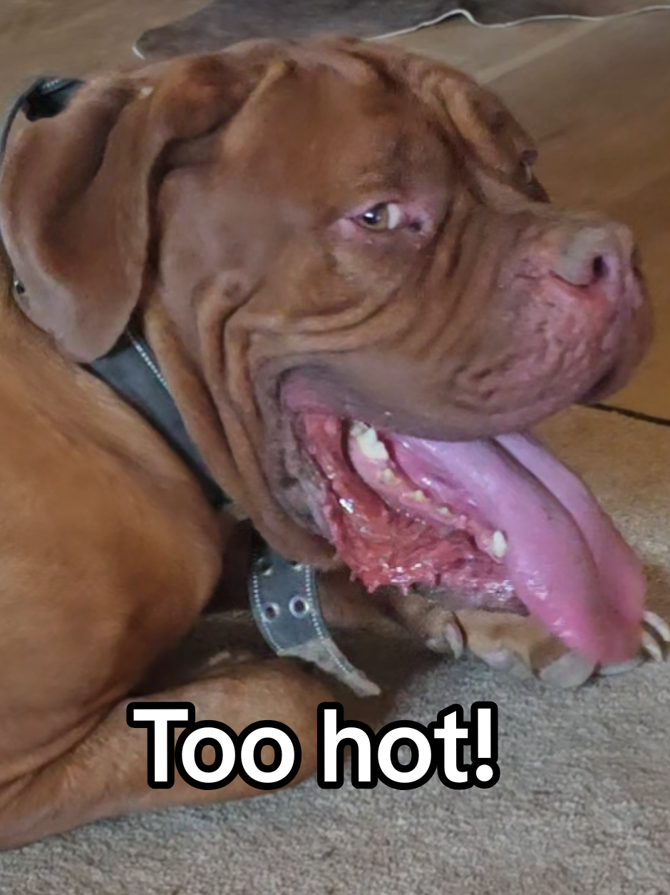 @UntamedTexas