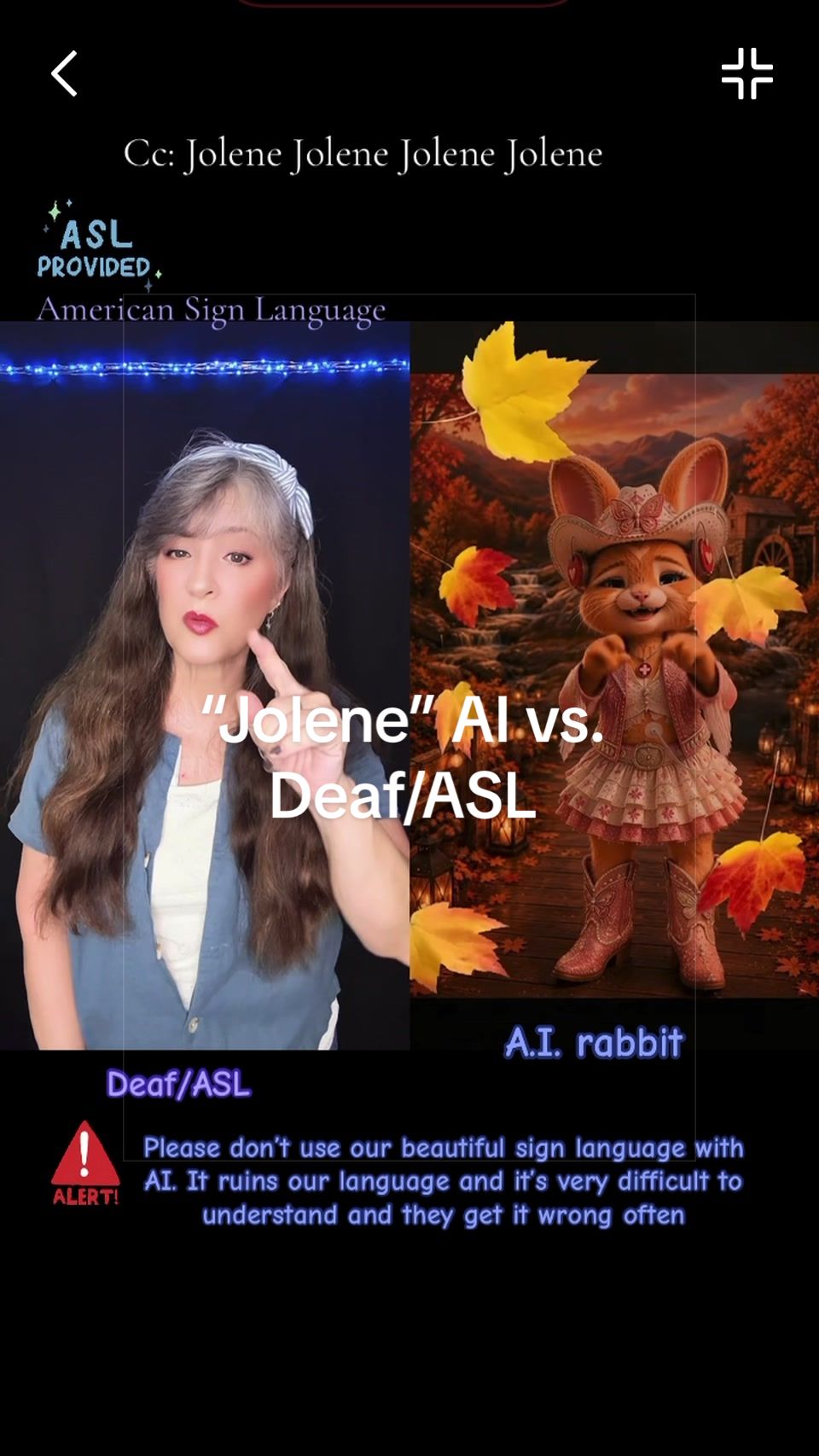 @Deaf Warrior/ASLSuzyQ🤟🏼