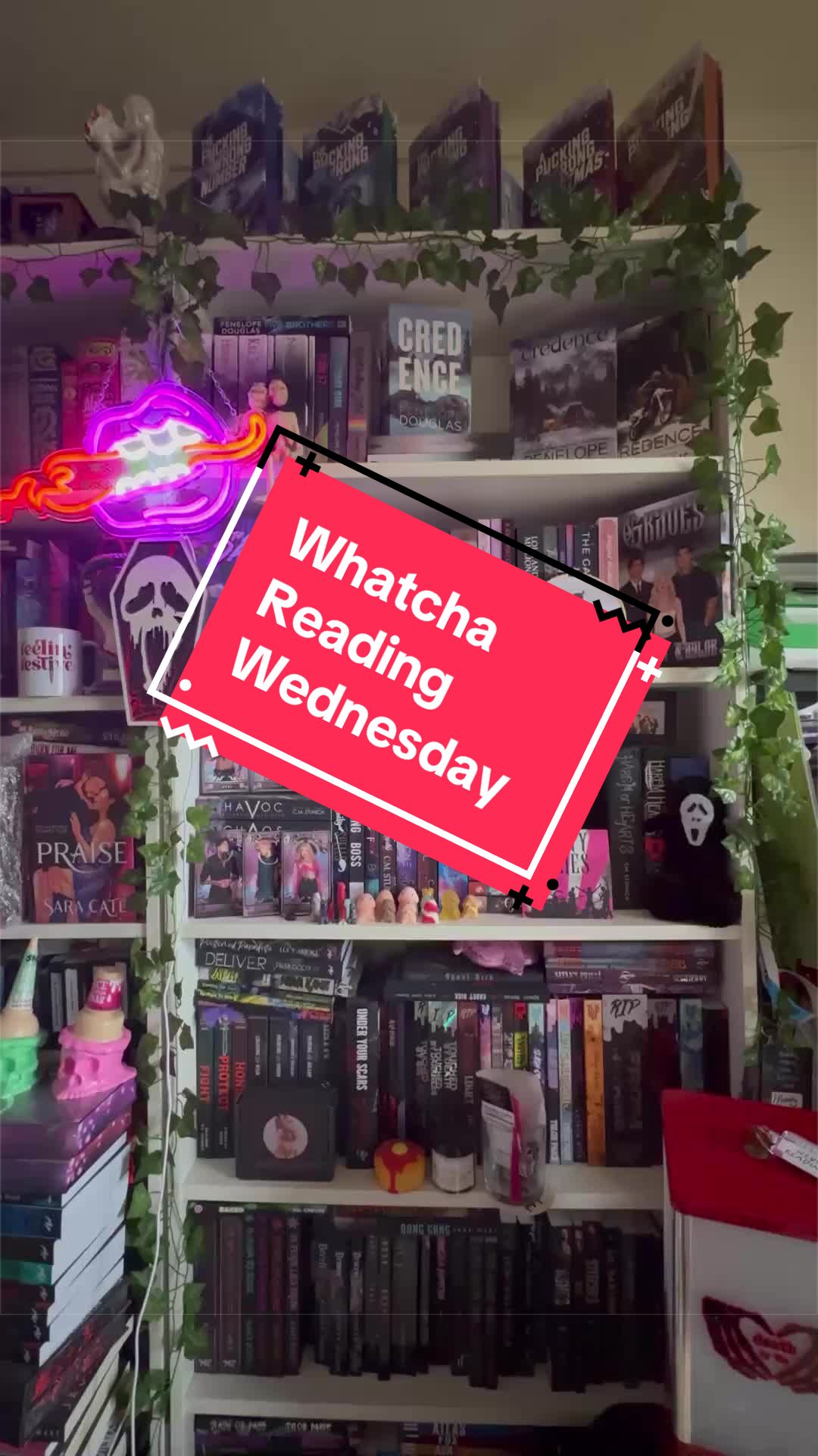 @themandysin 📚🦇