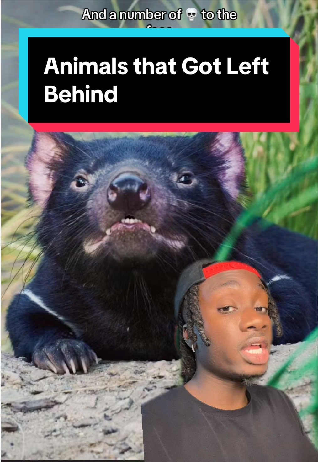 @mndiaye_97