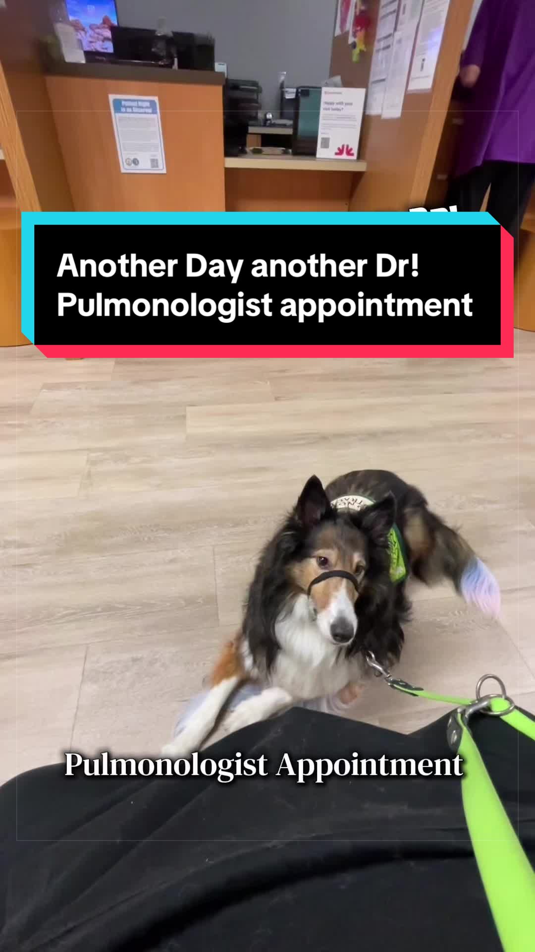 @Dakota & Pups