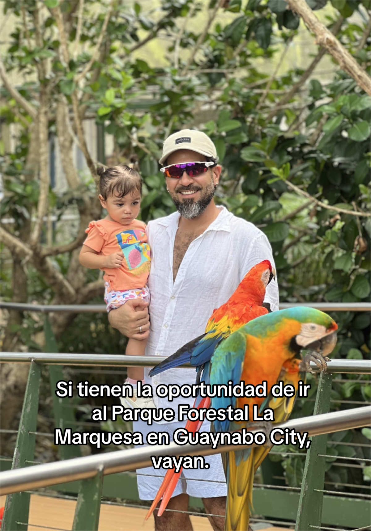 @Mr. Báez