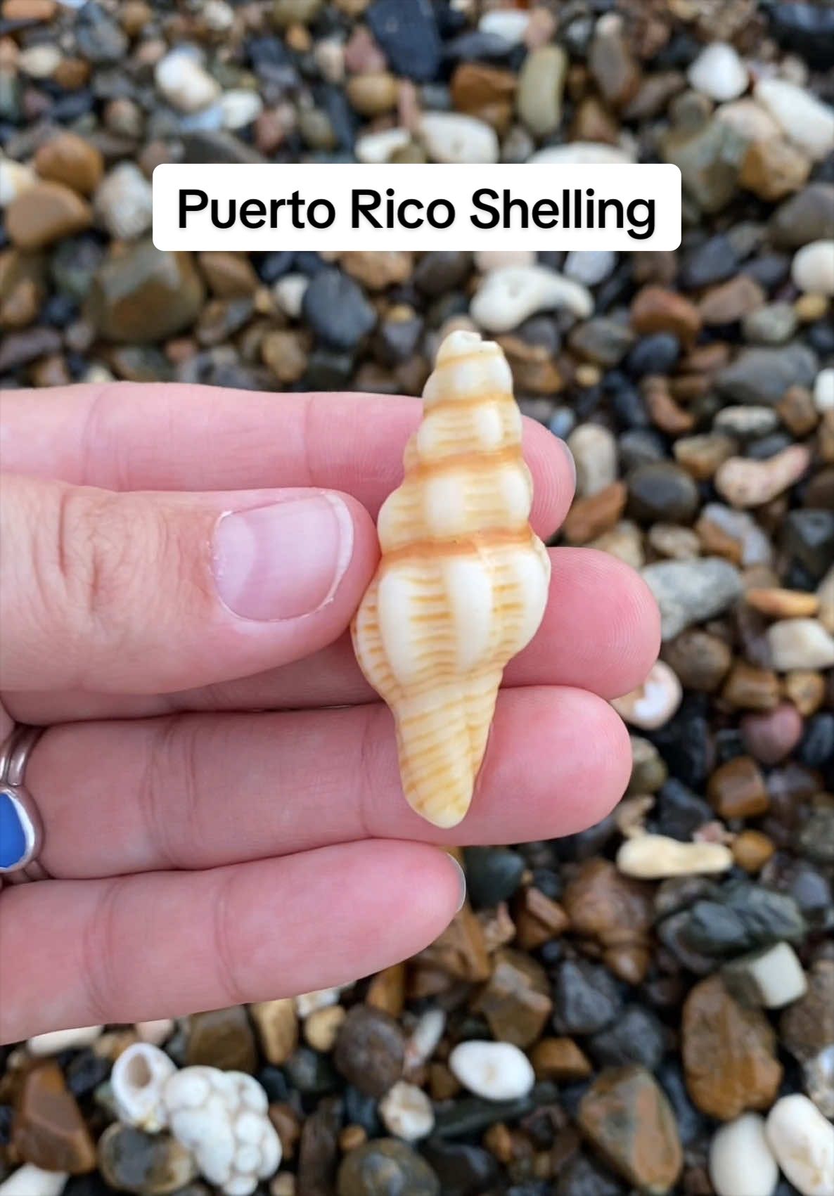 @🐚Jojo🌴