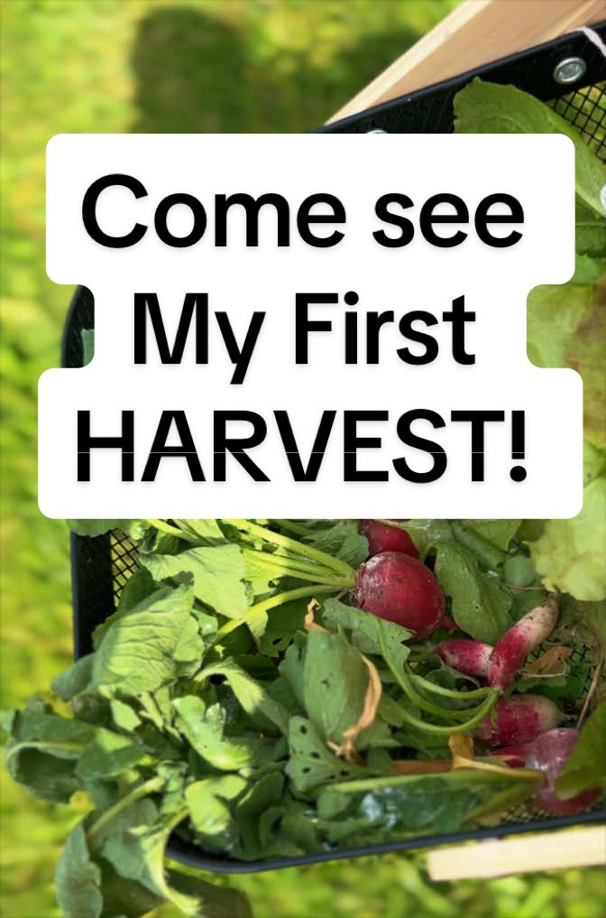 @greengirlgardens