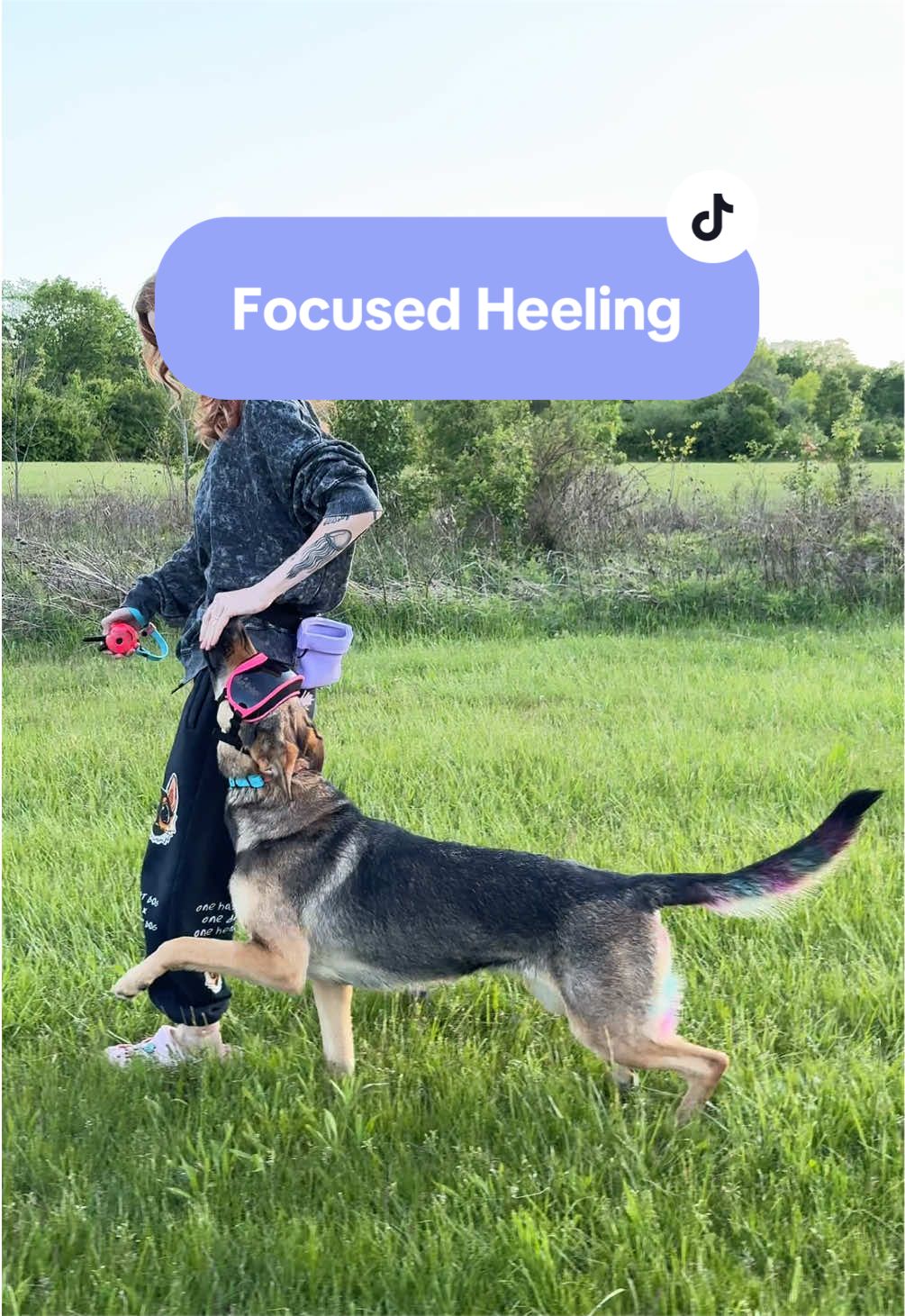 @Kay and Kipper 🐕