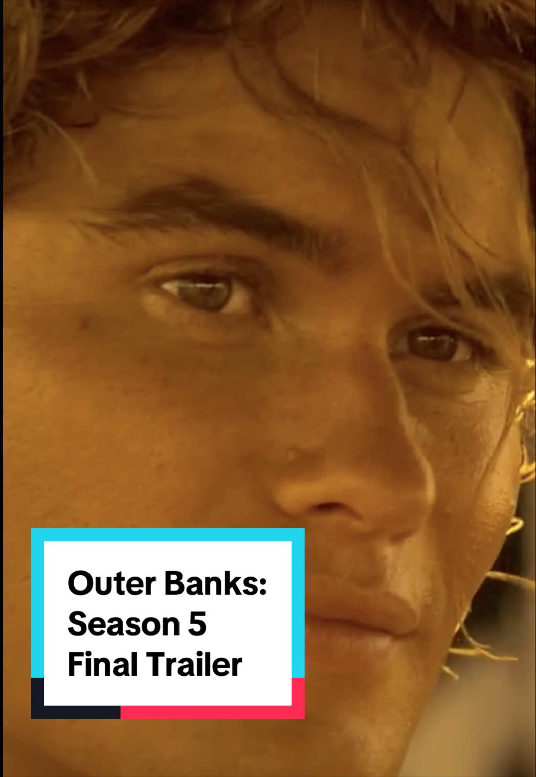 @Rotten Tomatoes