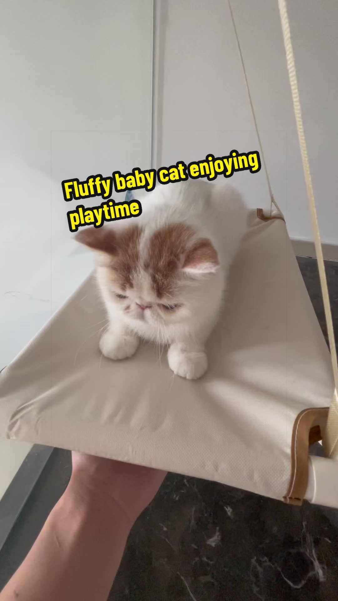 @Tianshi Zhang