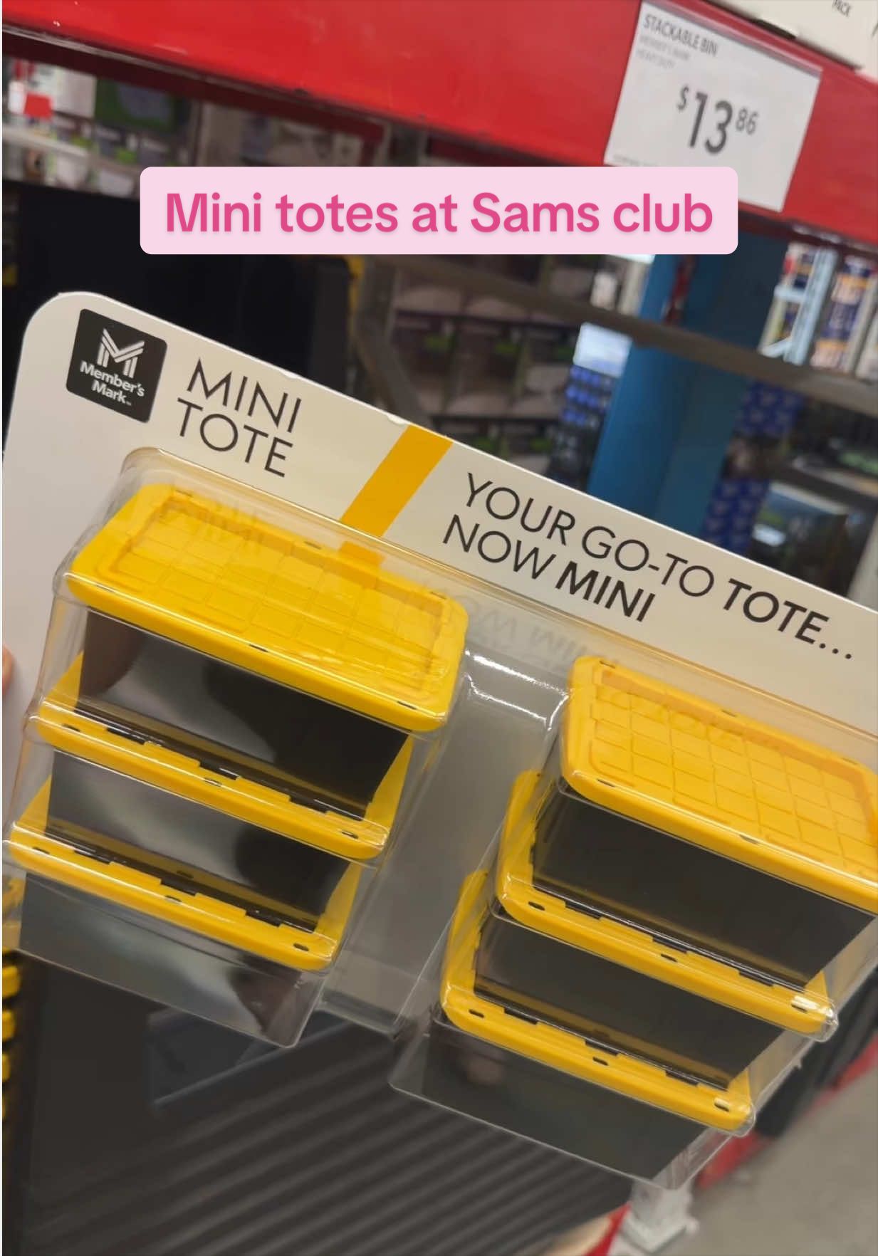 @𝓢𝓽𝓮𝓹𝓱𝓪𝓷𝓲𝓮