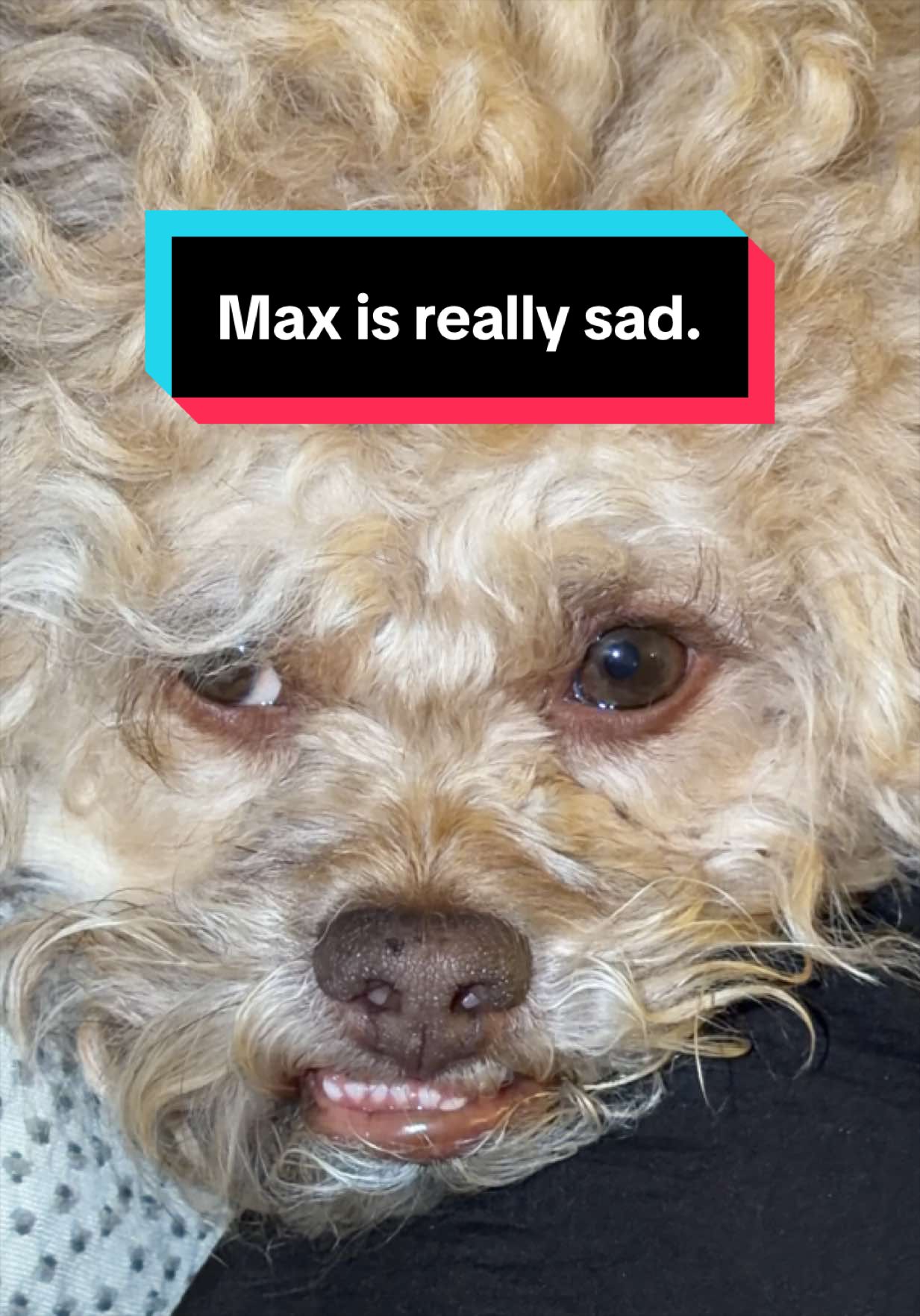 @Lil&rsquo; Max