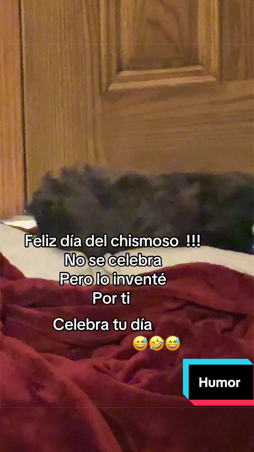@Yohandragonz