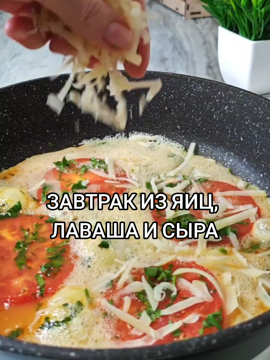 @Galina
