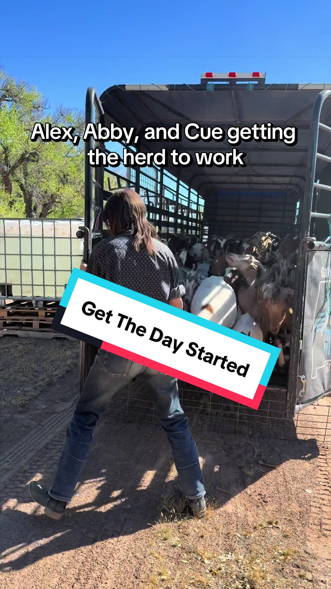 @cowboymax