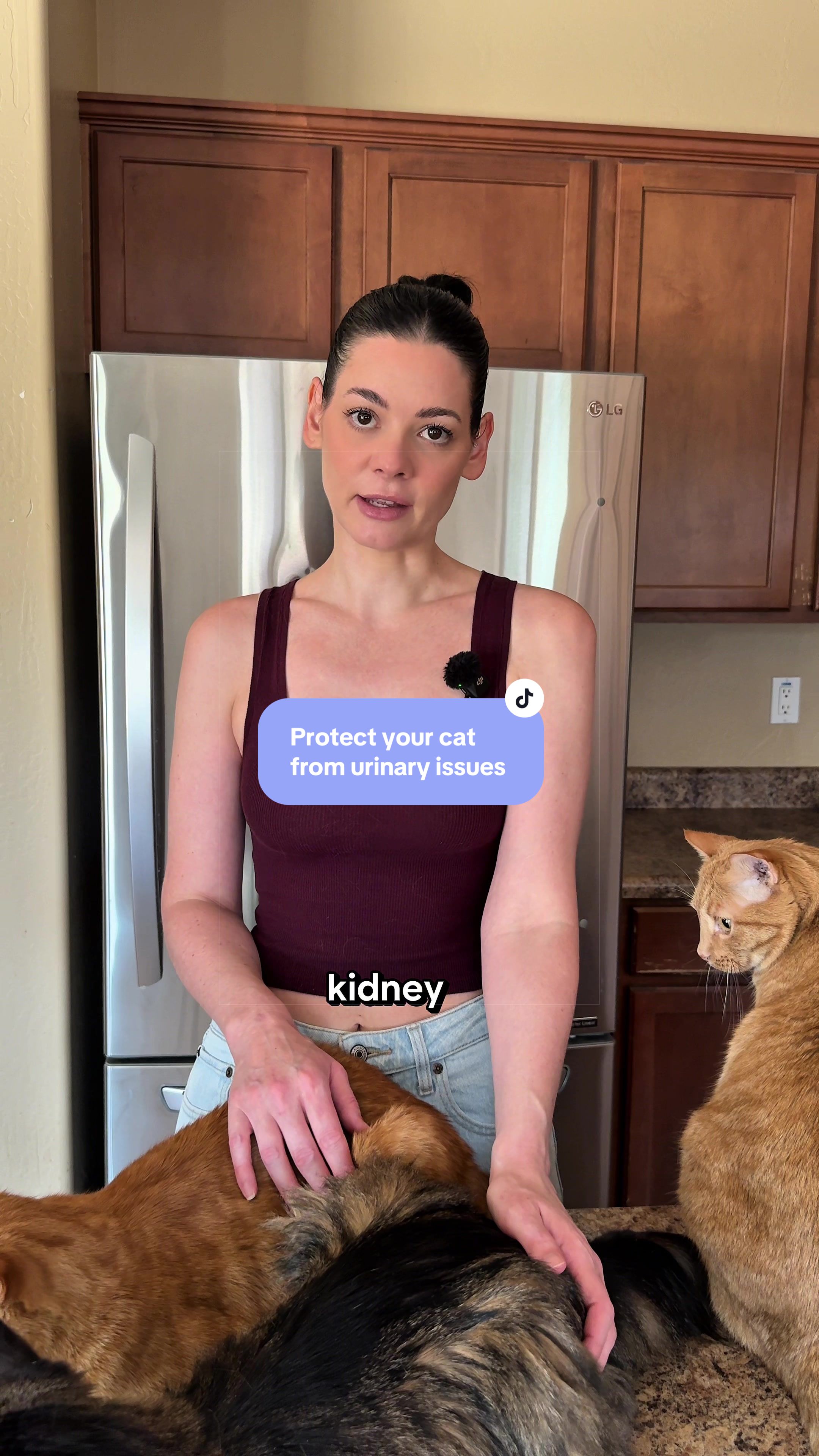 @Feminist Kitty | Cat Nutrition