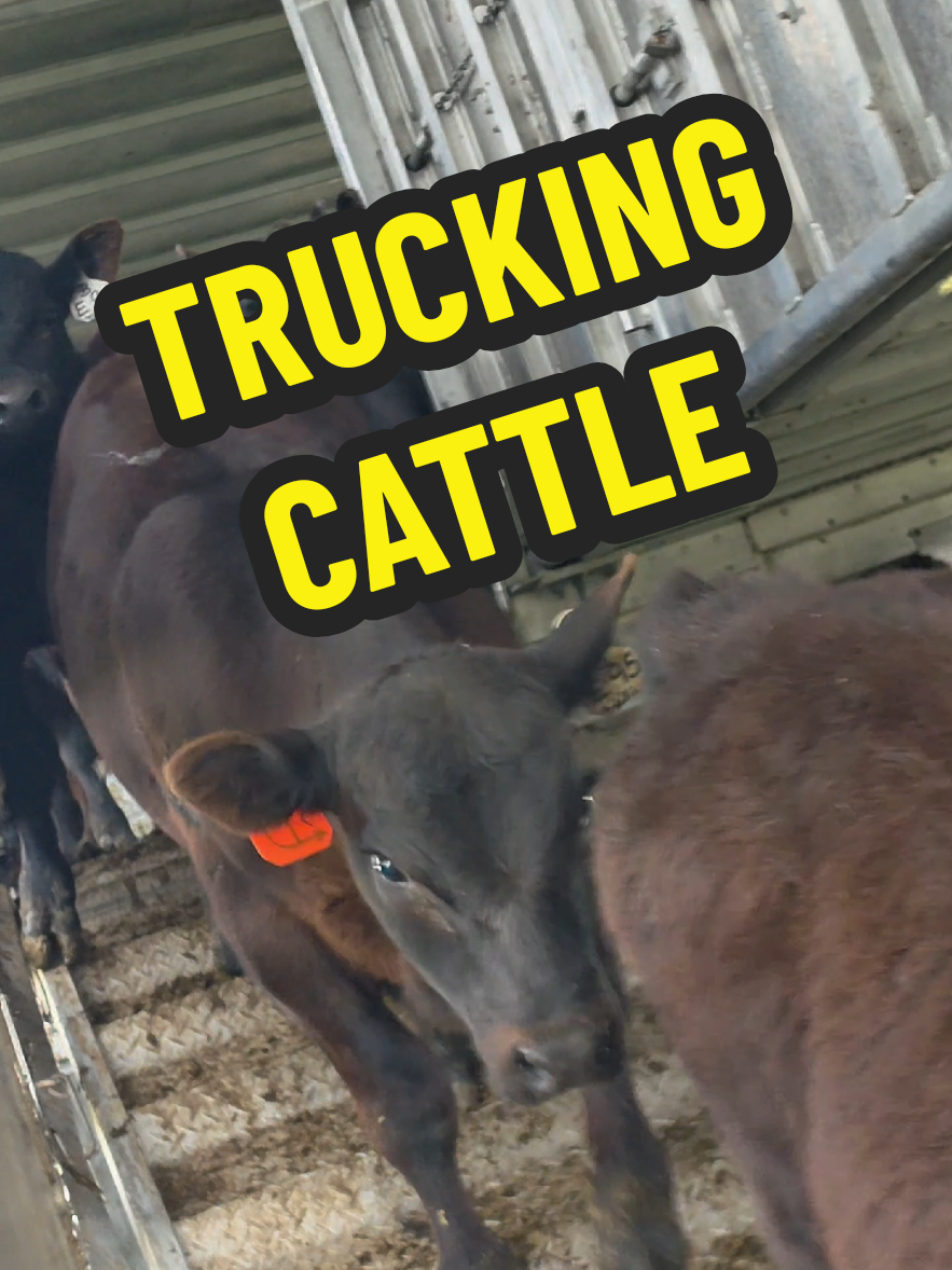 @1HANDNFARMING 🦾🌾🐂🚜