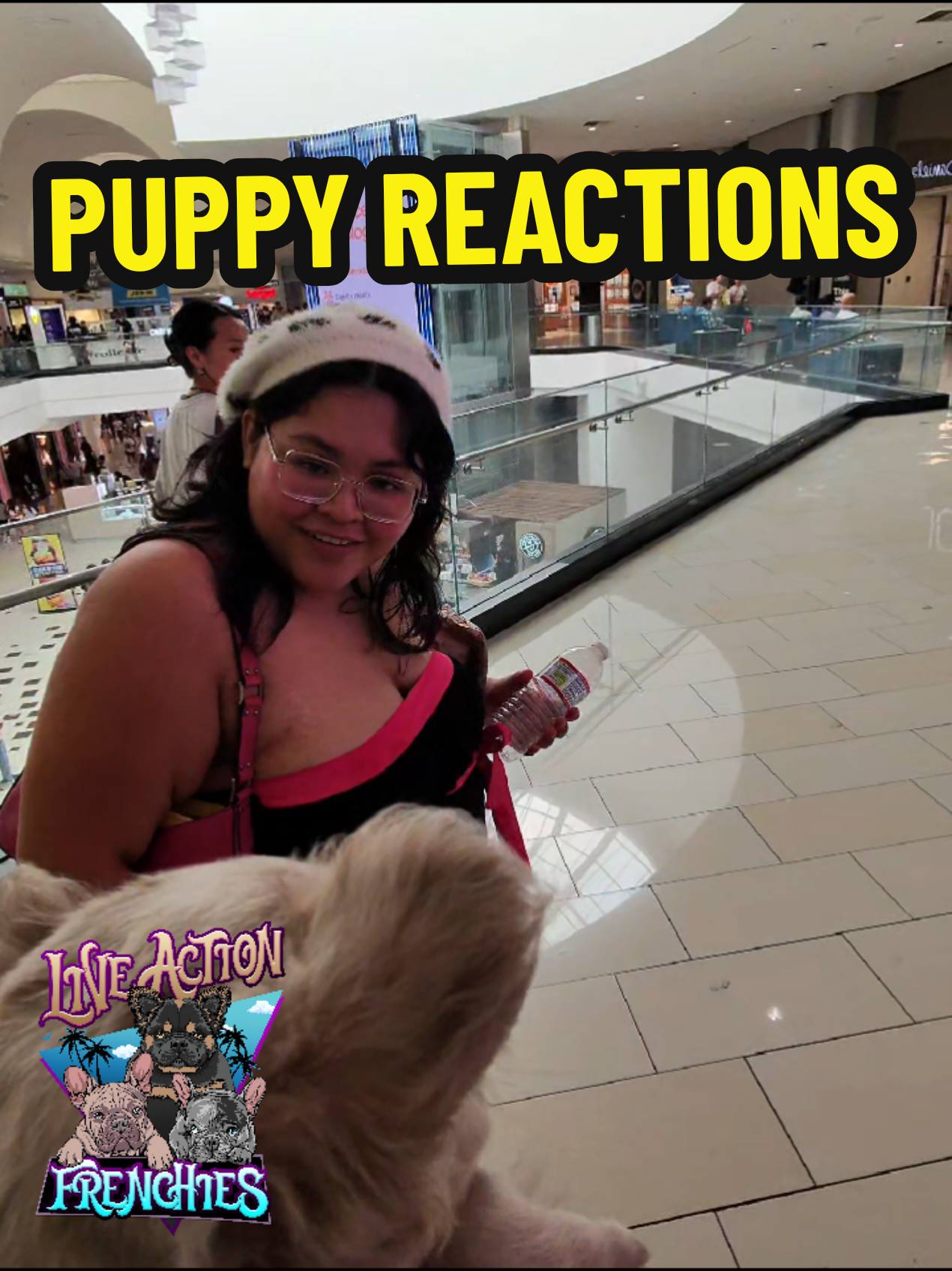 @Live Action Hype Shop