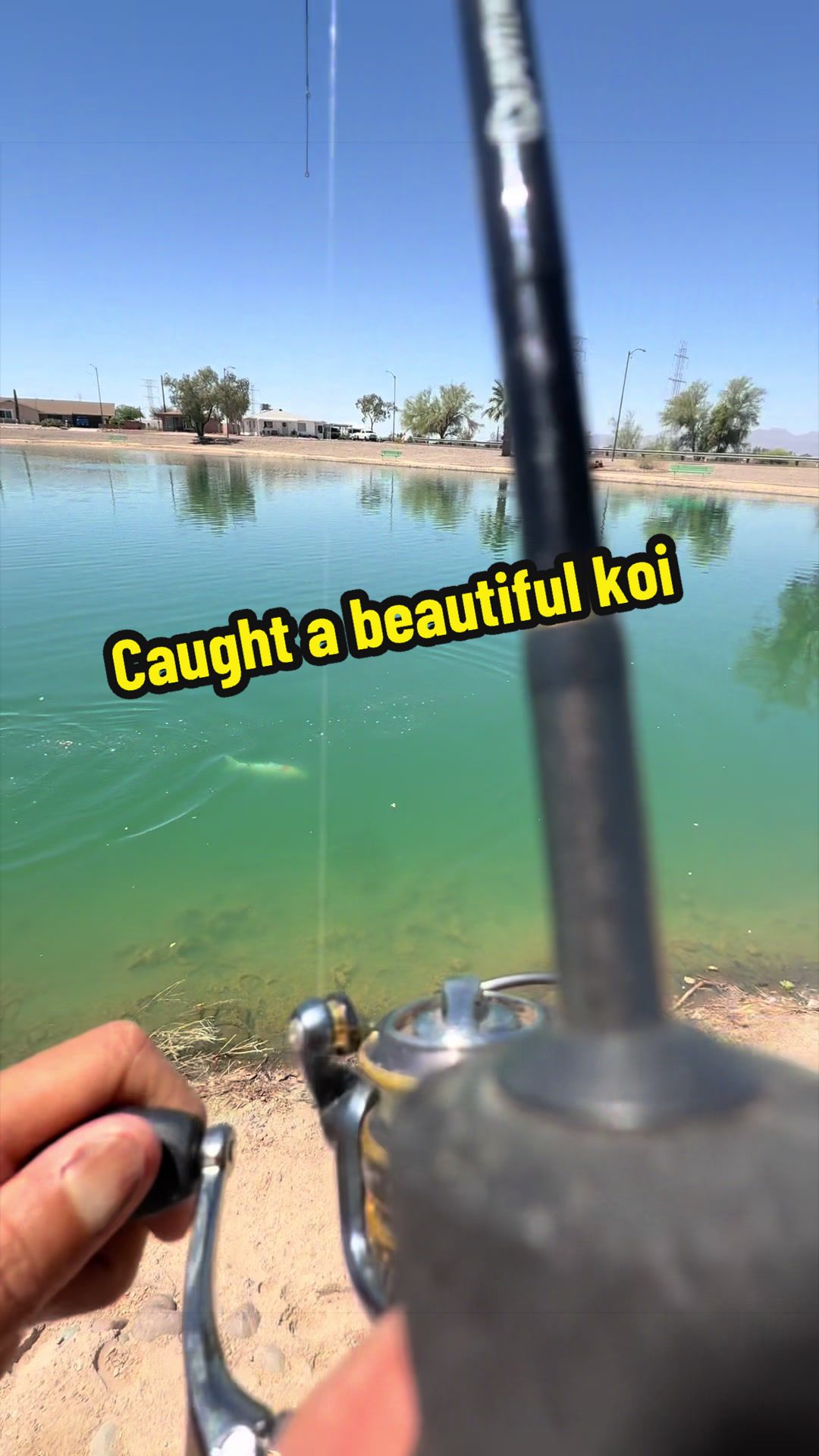 @Luu Nguyen Fishing