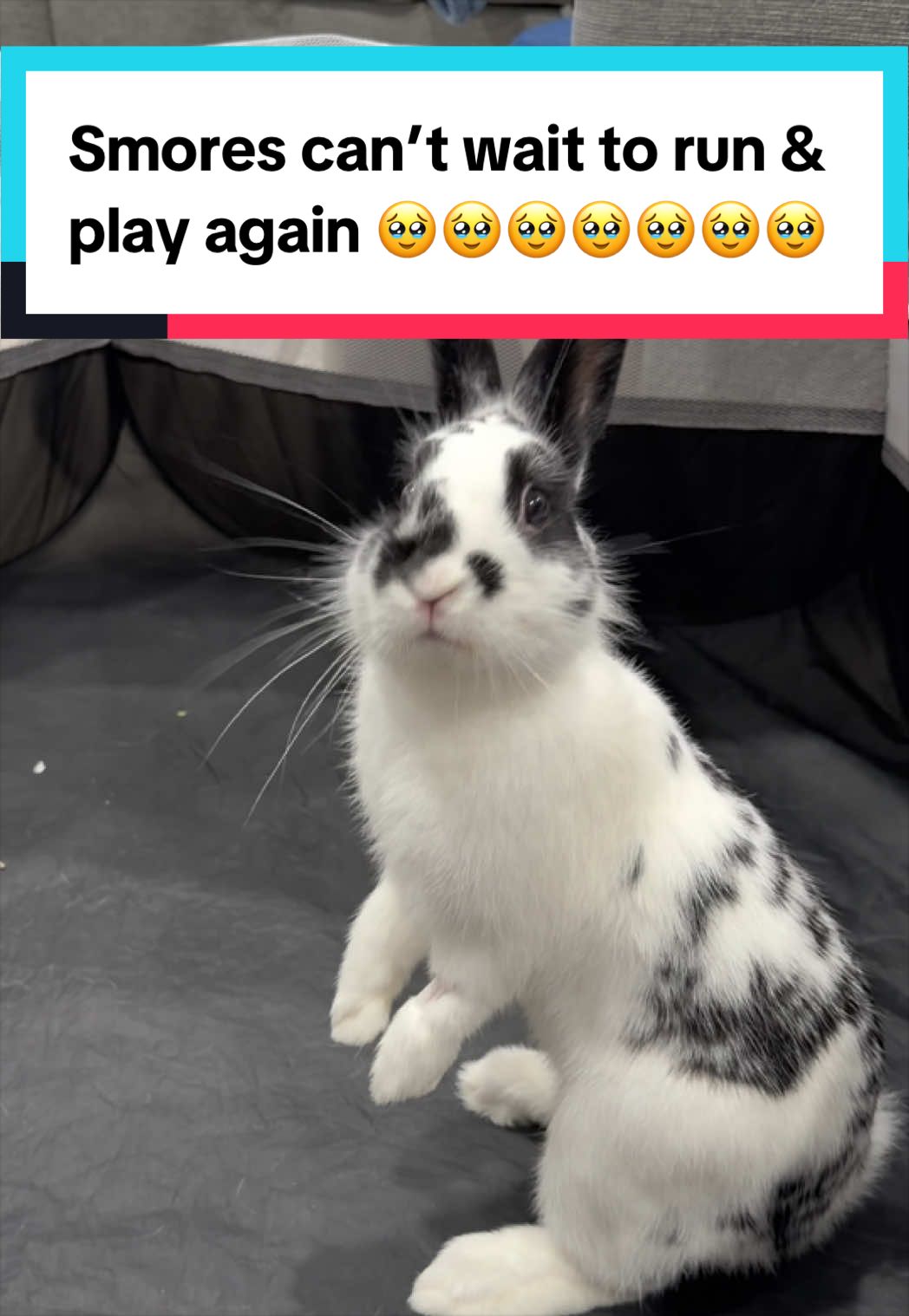 @bunsandhustles