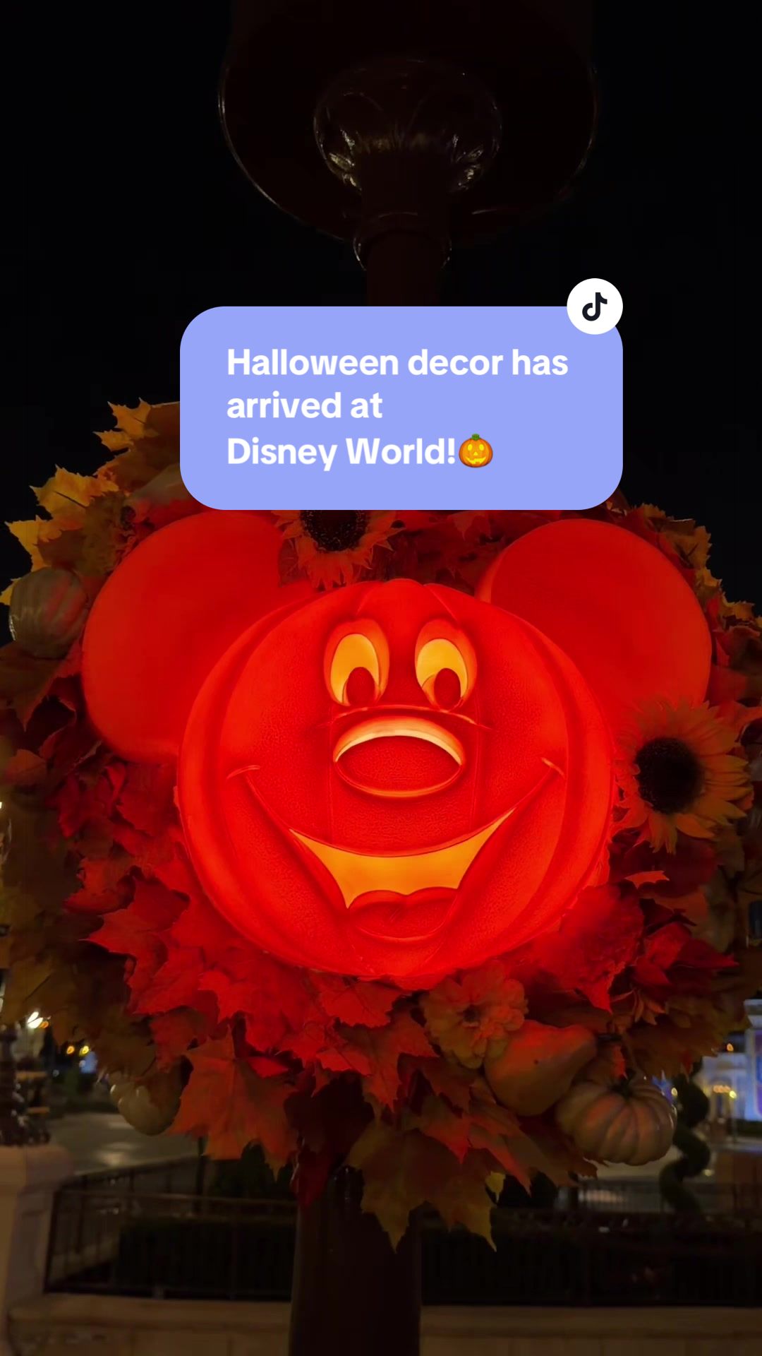 @Disney Parks