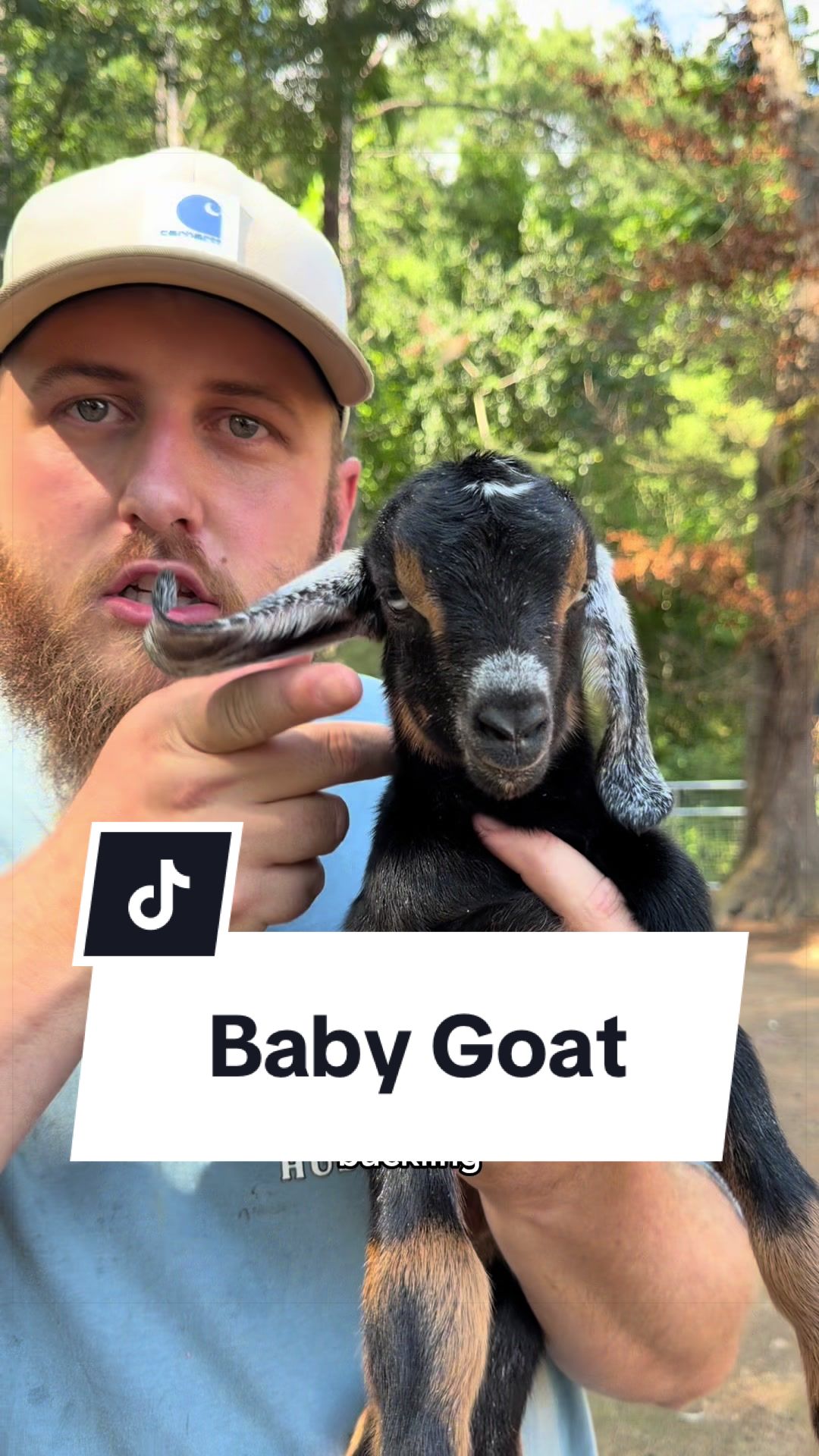 @Bandrhomestead