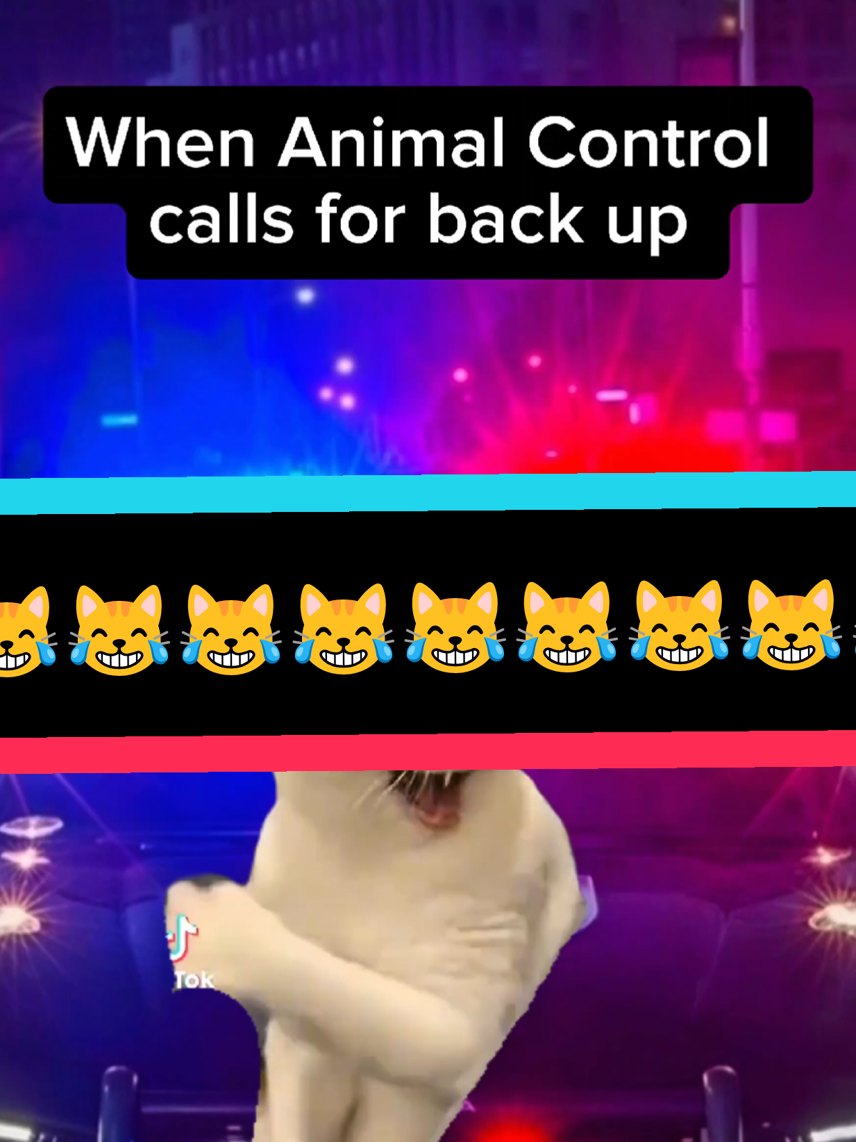 @donutpatrol_180
