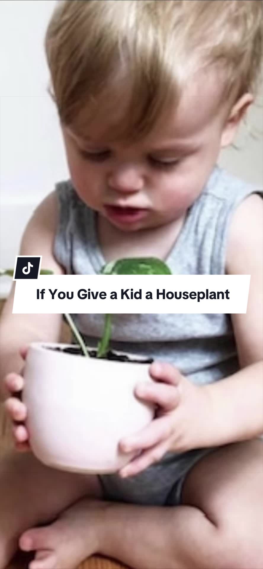 @alltheplantbabies