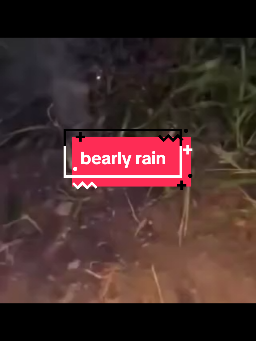 @bearlyconspiracies