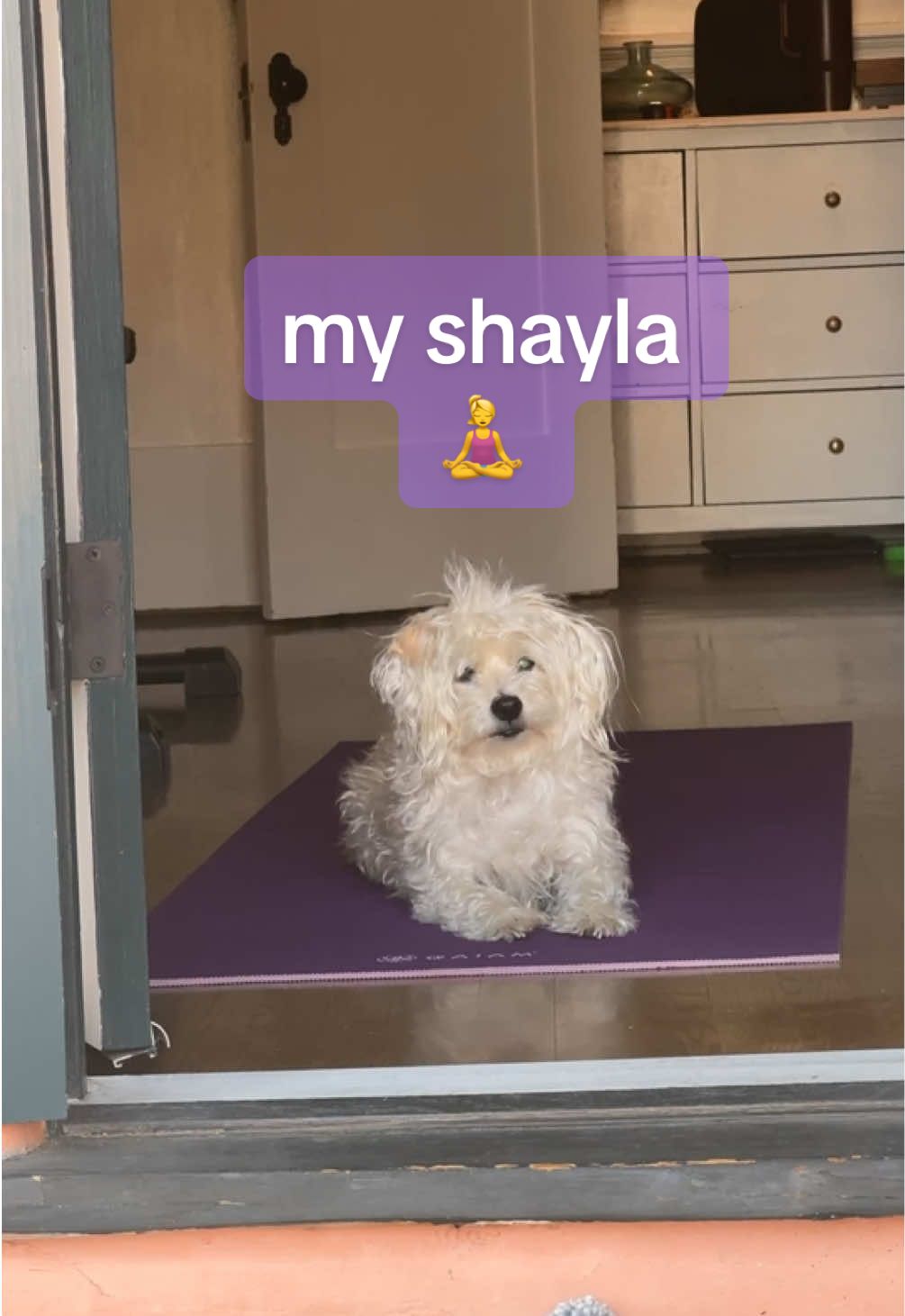 @Zoey Kay