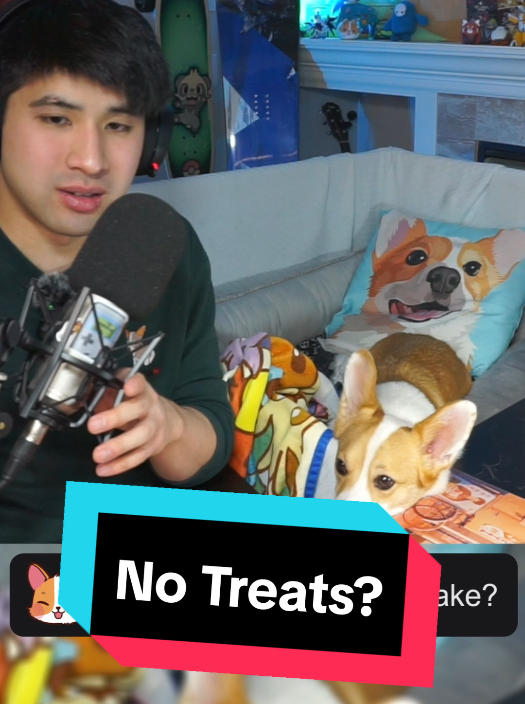 @Protocorg | Twitch Streamer