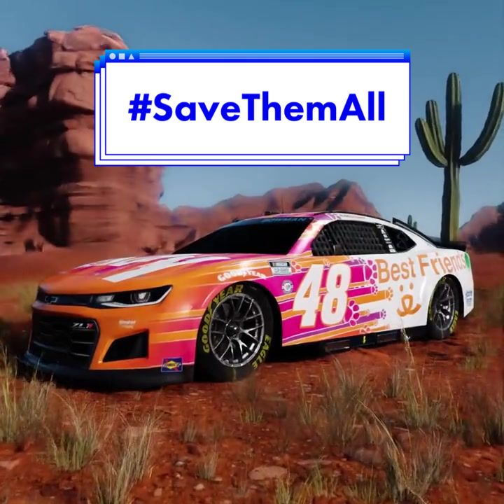 @Team Hendrick 48 Fan Page