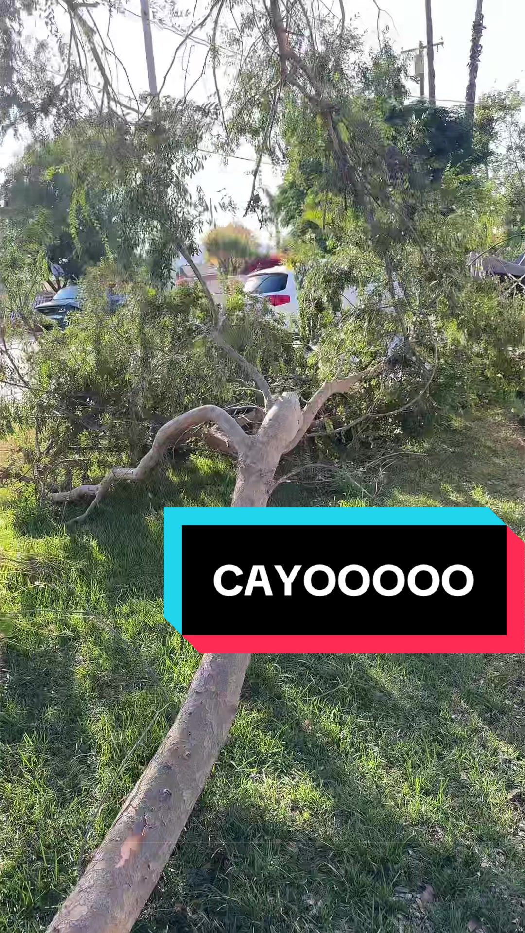@OmarRuviazzz