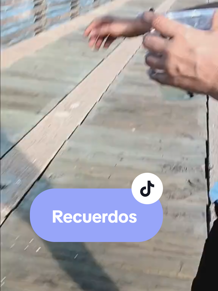 @🎶🎶🎀L@INEE🇨🇴👑✨️👑
