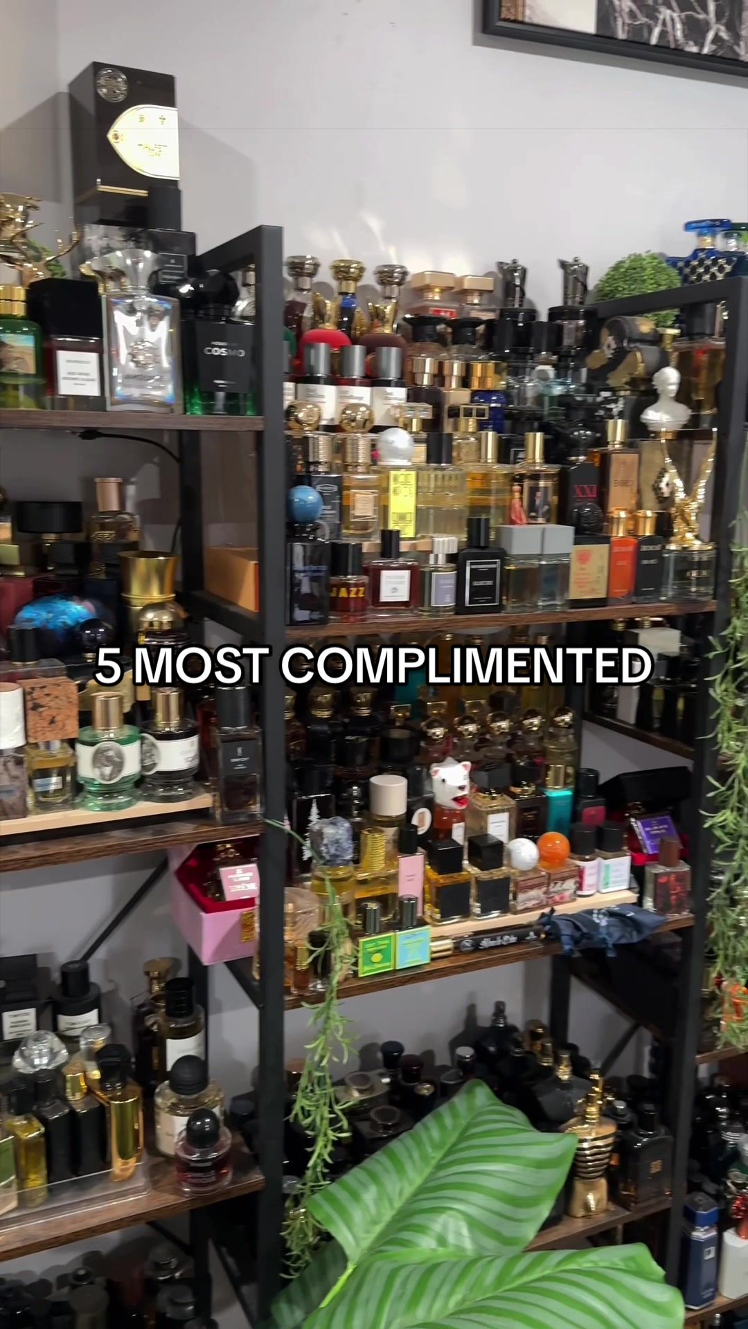 @Nichefragrances