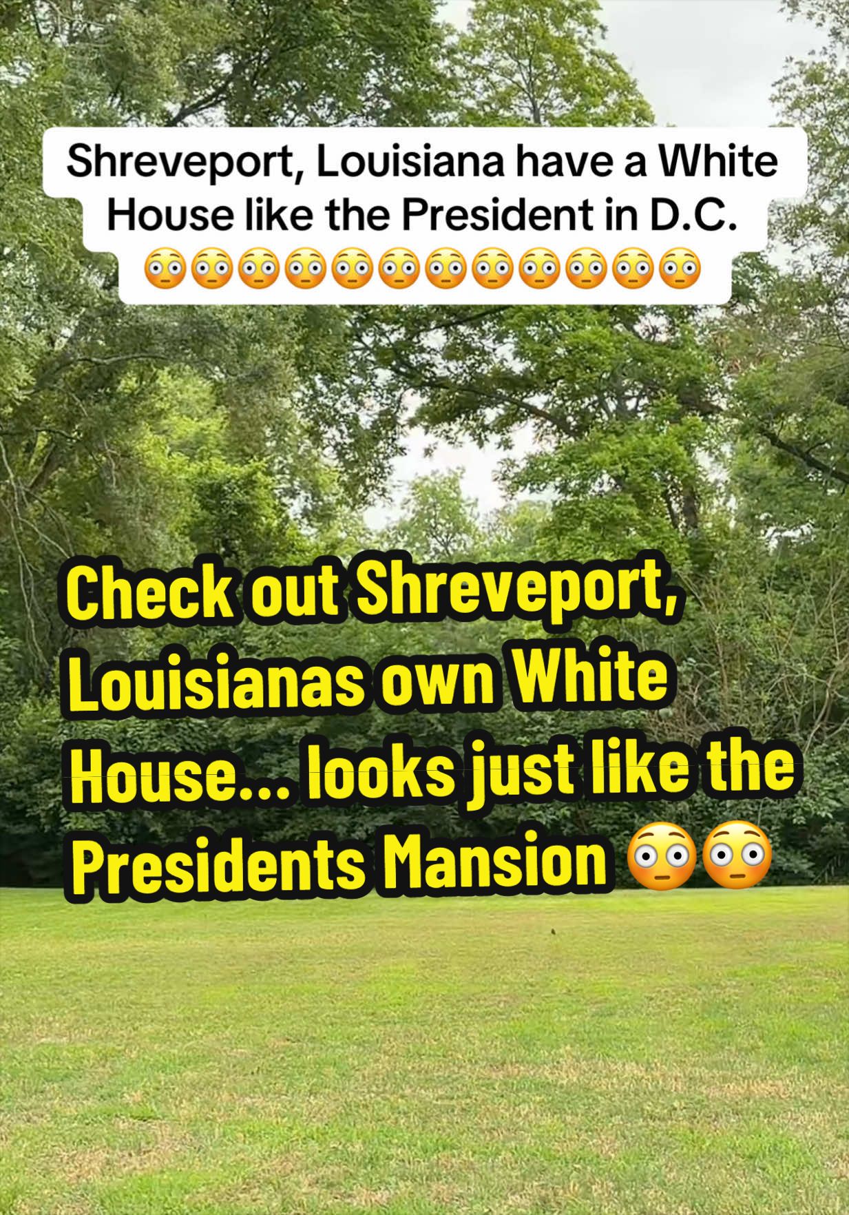 @bossdvincii