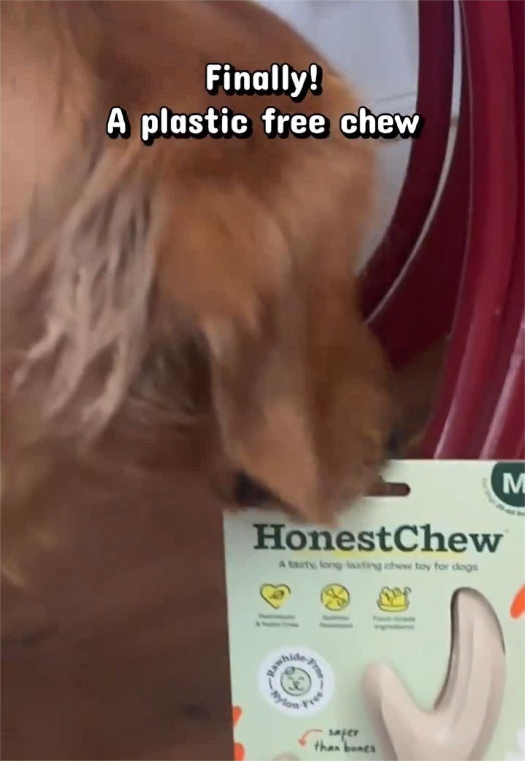 @Charlie the Golden