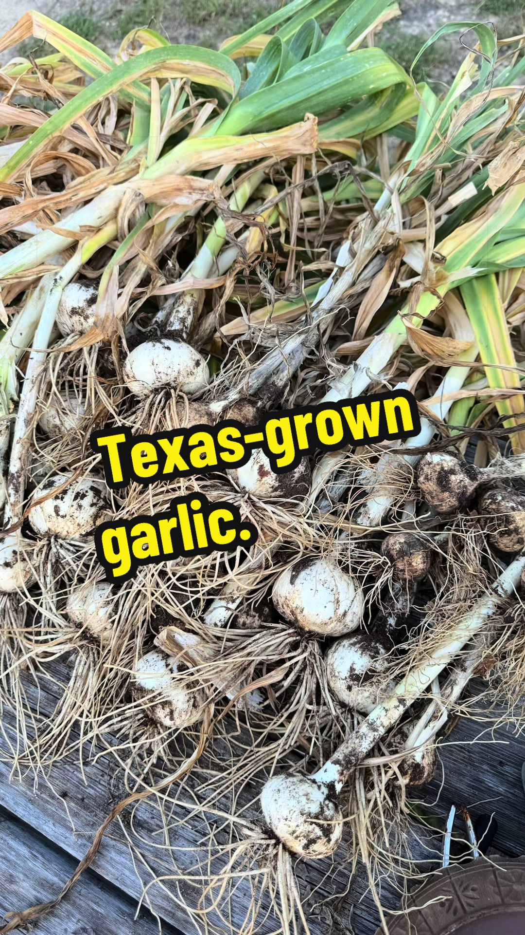 @MEandTEXAS