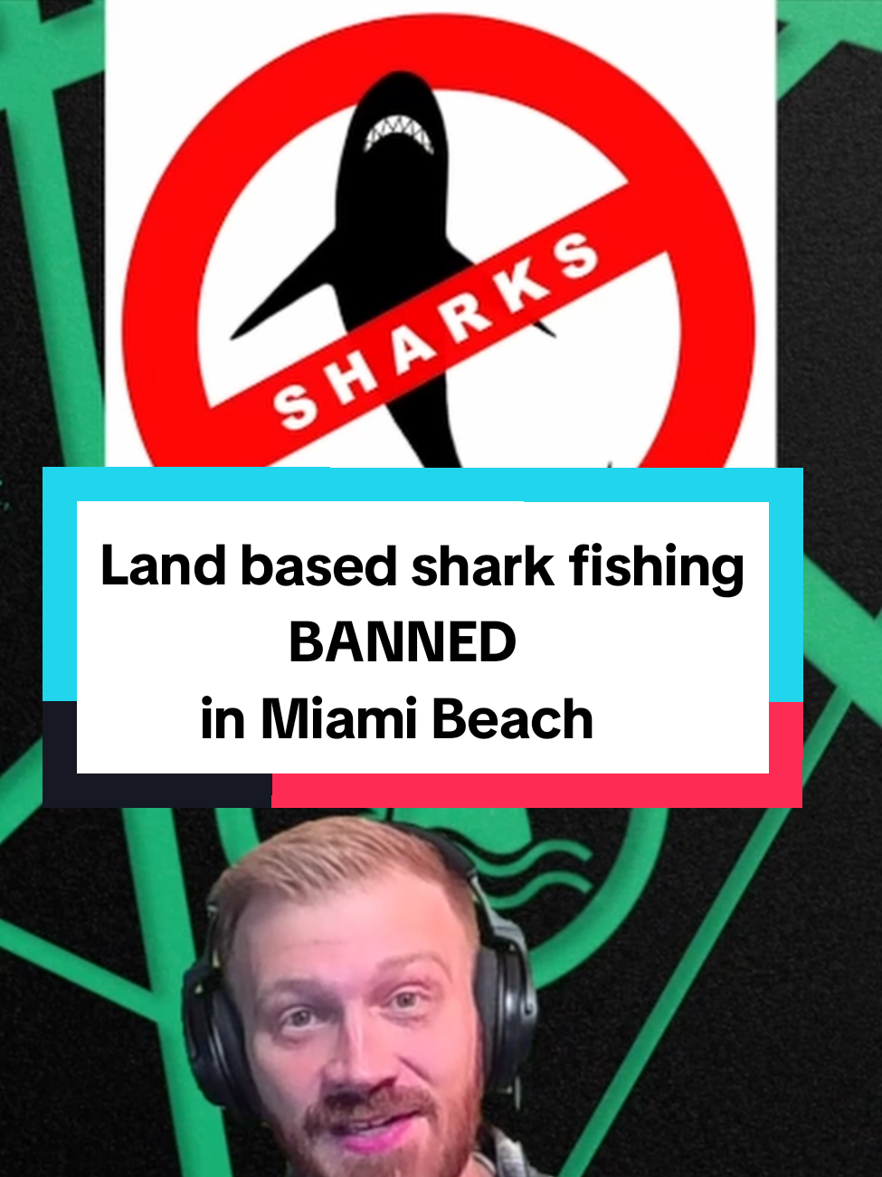 @Shark Geek