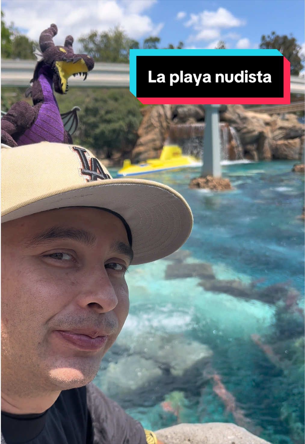 @En Disneylandia