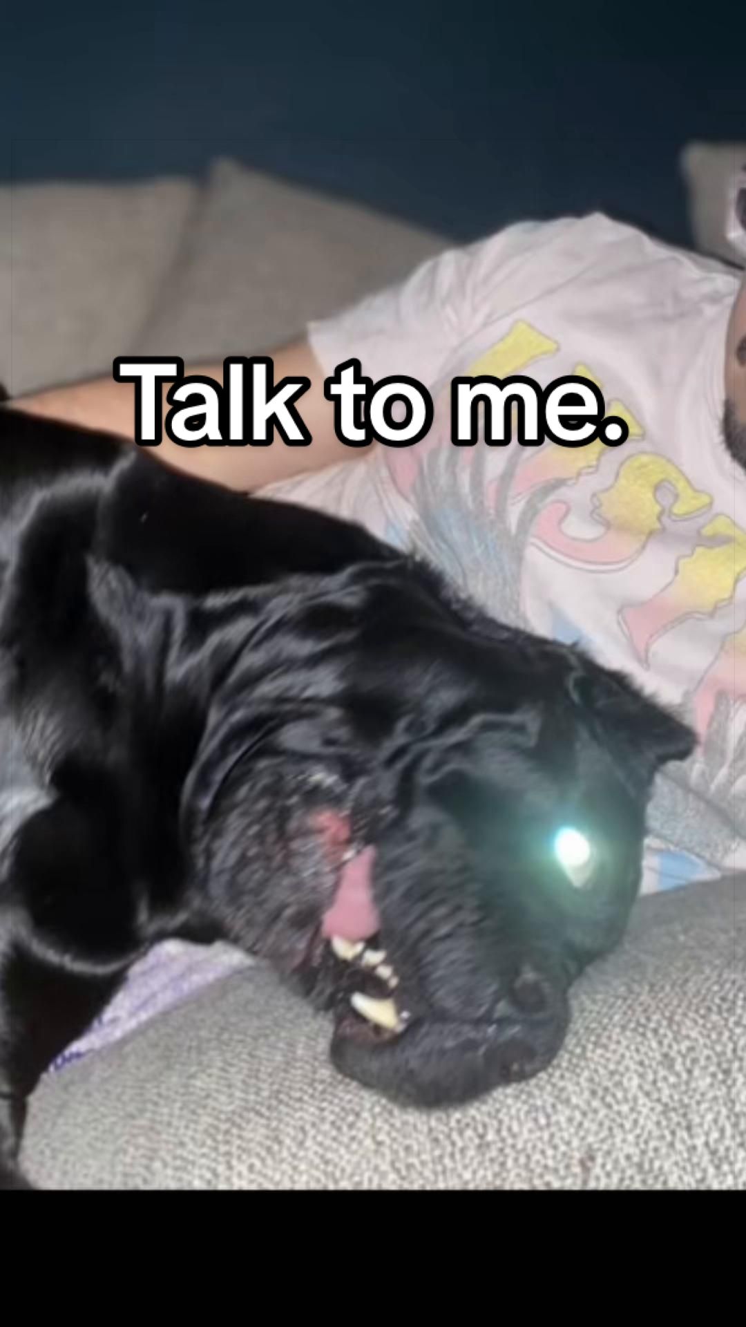 @MyDogMargot