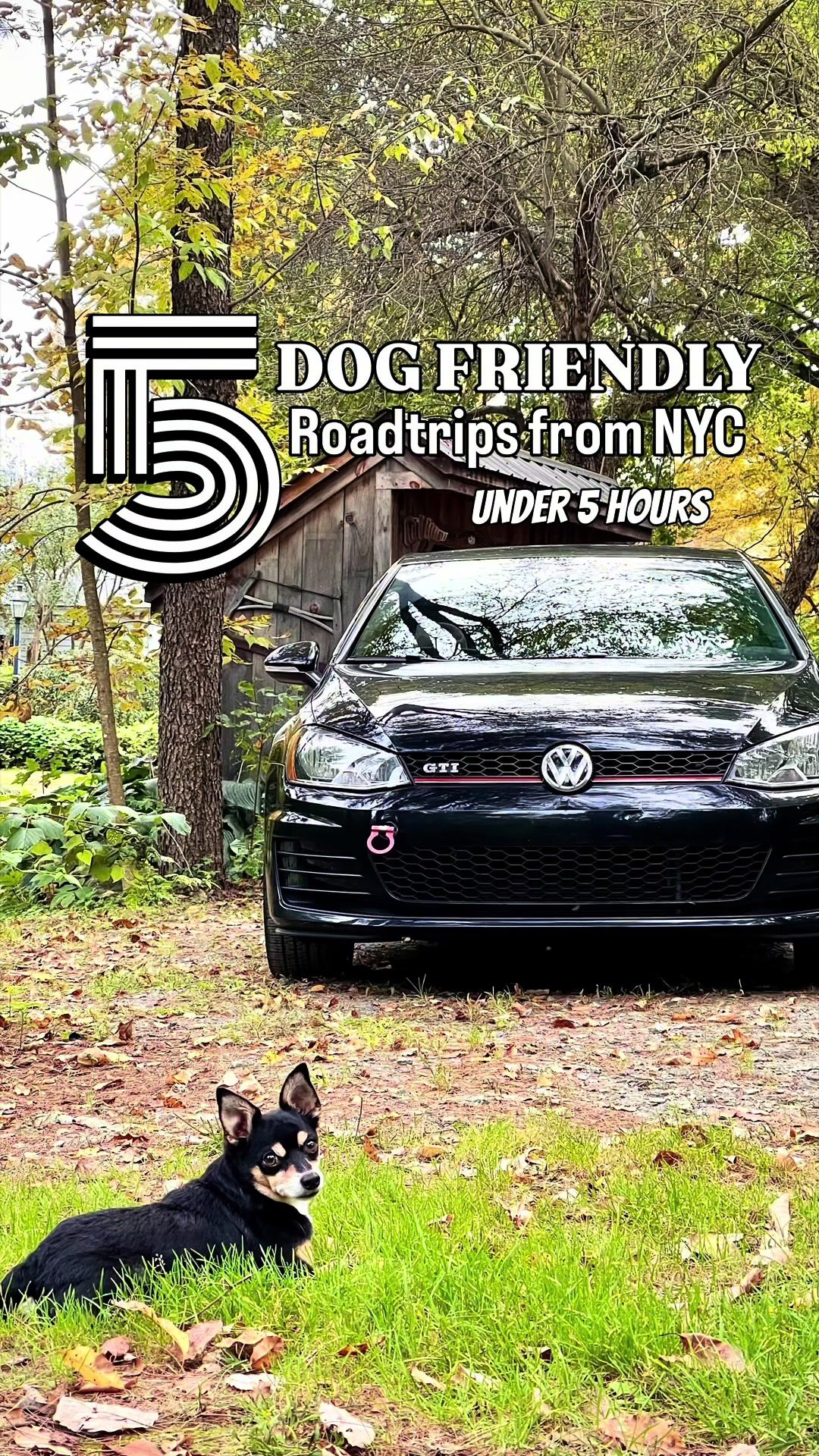 @nycdogadventures