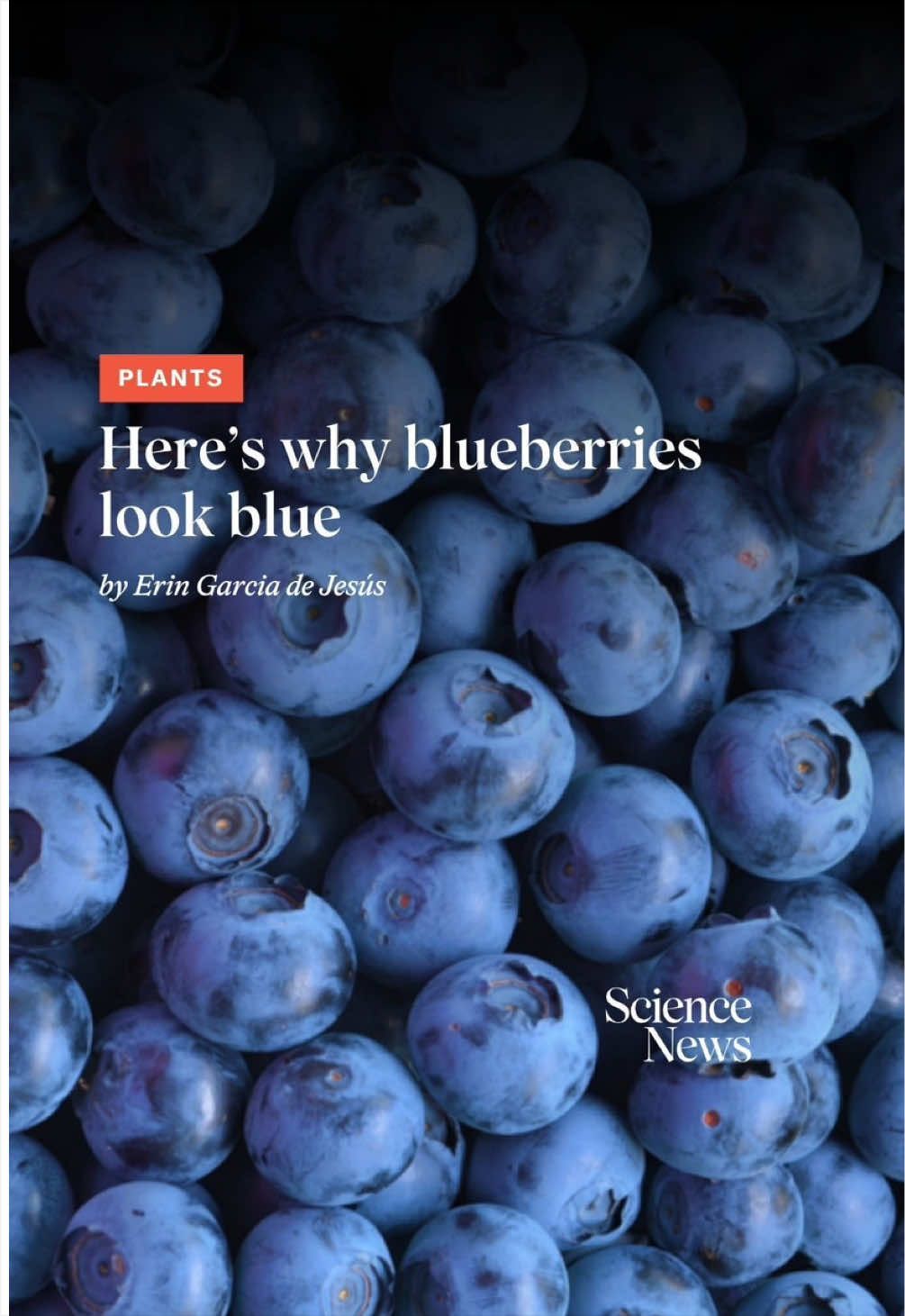 @Science News