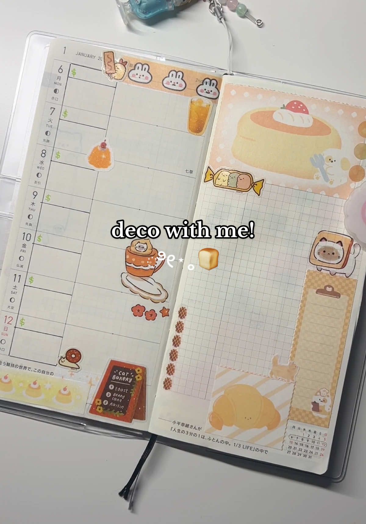 @katie 🍮 ₊˚⊹ ࿔