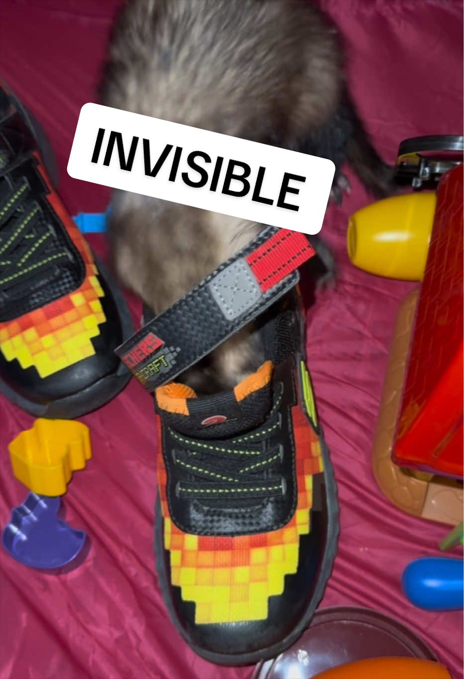 @Veritologic
