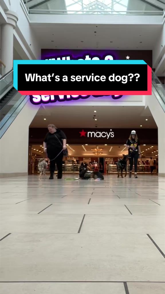 @Dakota & Pups