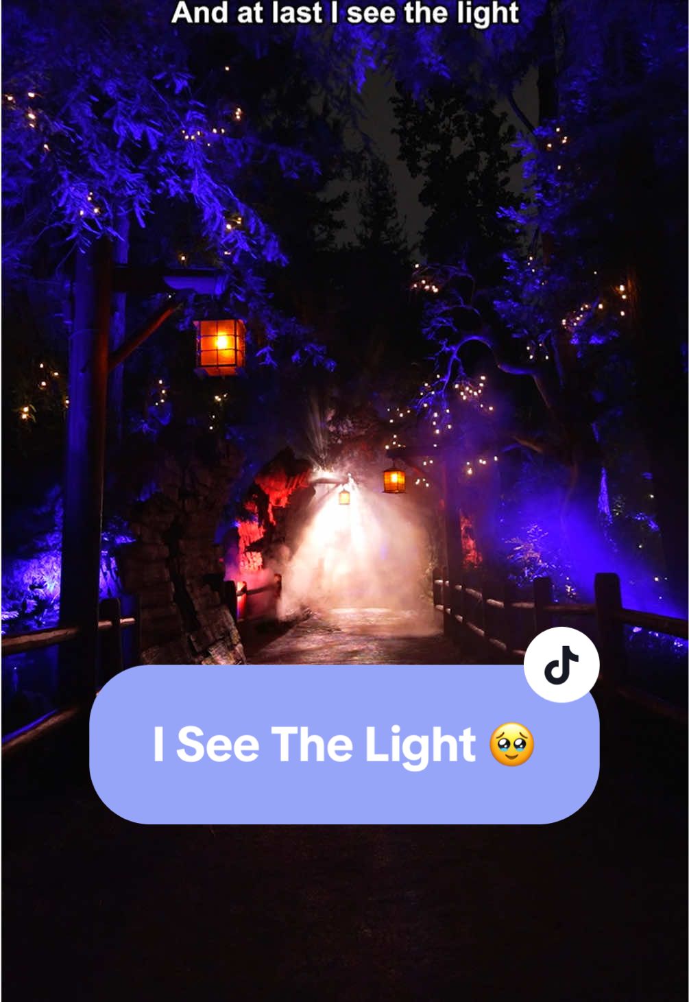 @Disney Parks