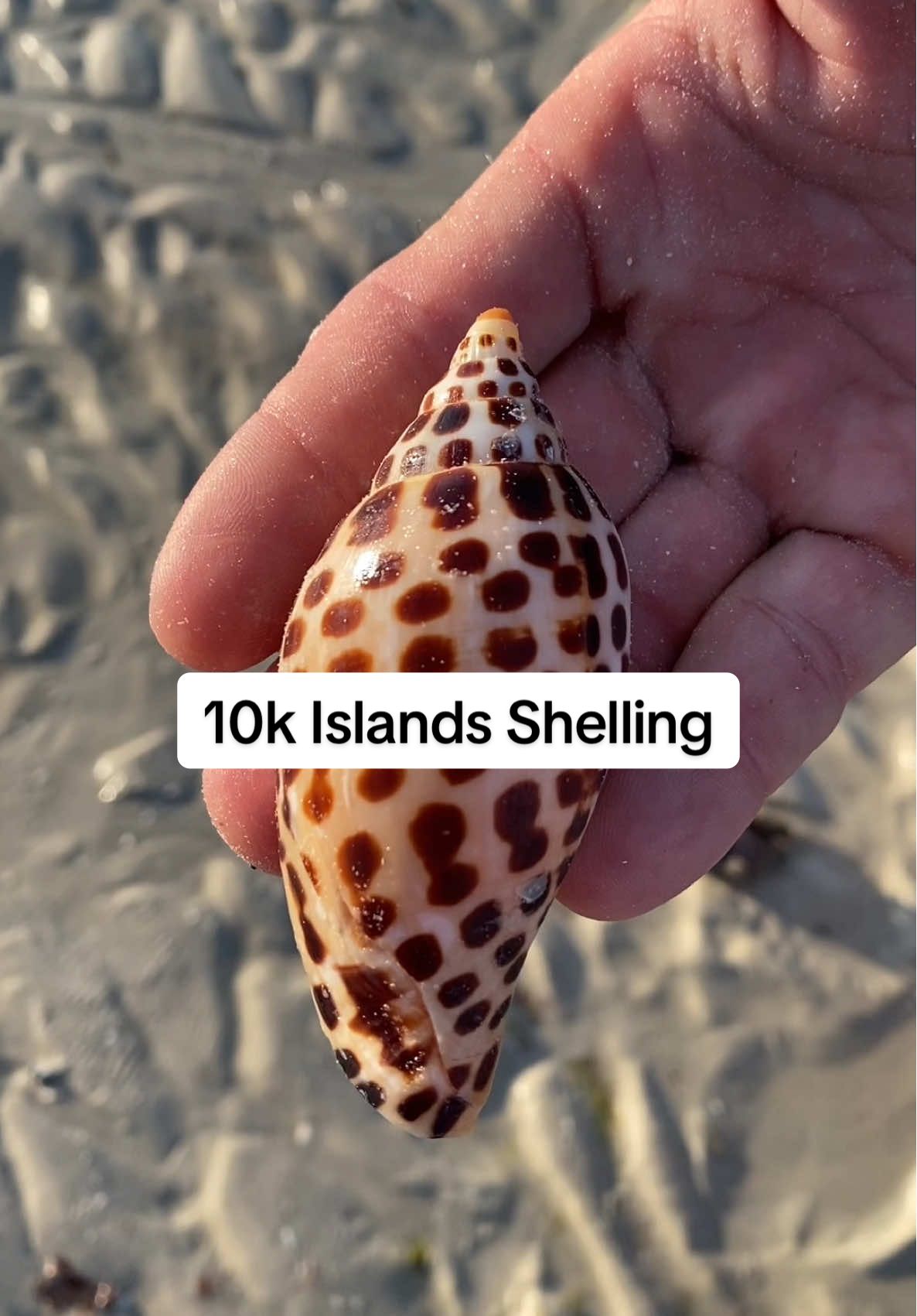 @🐚Jojo🌴